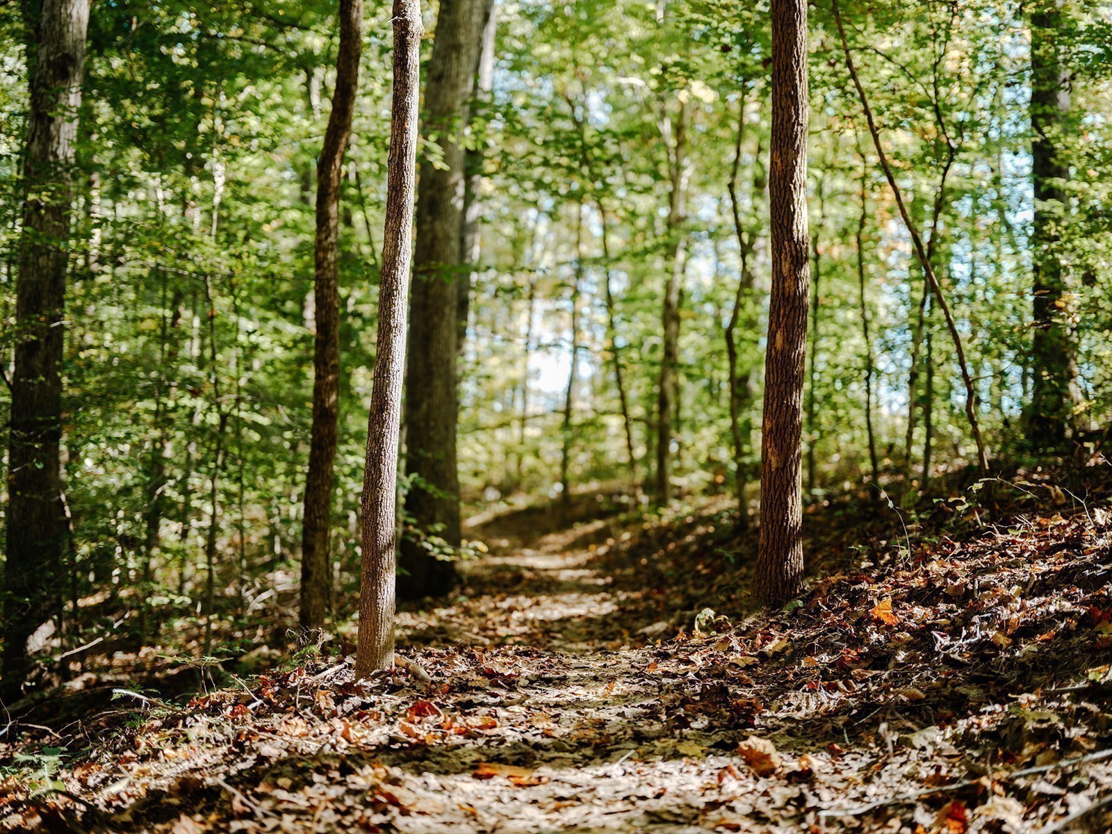 0 Pinewood Rd Lot 216, Franklin, TN 37064