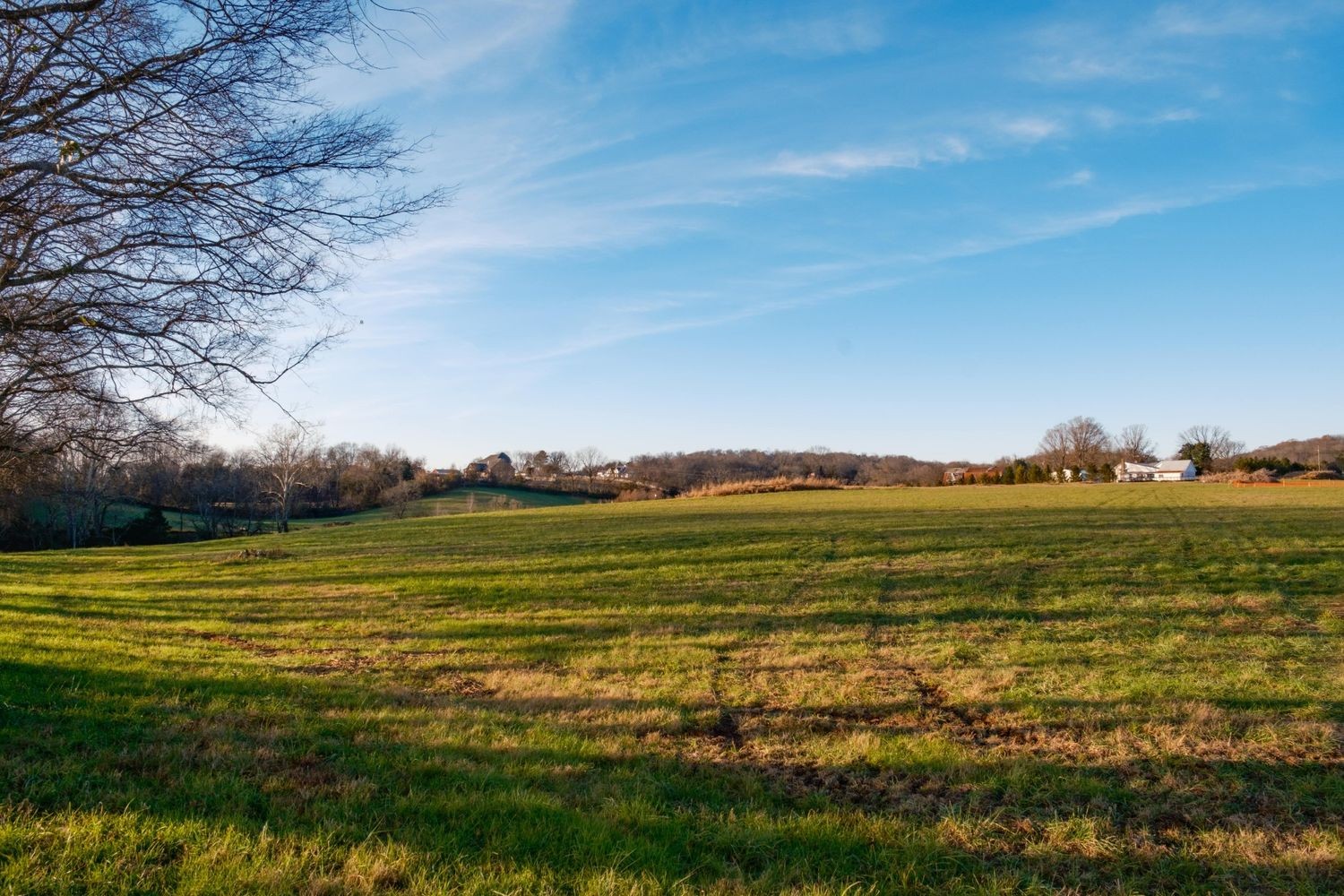 3017 Blythe Meadow Ln, Arrington, TN 37014