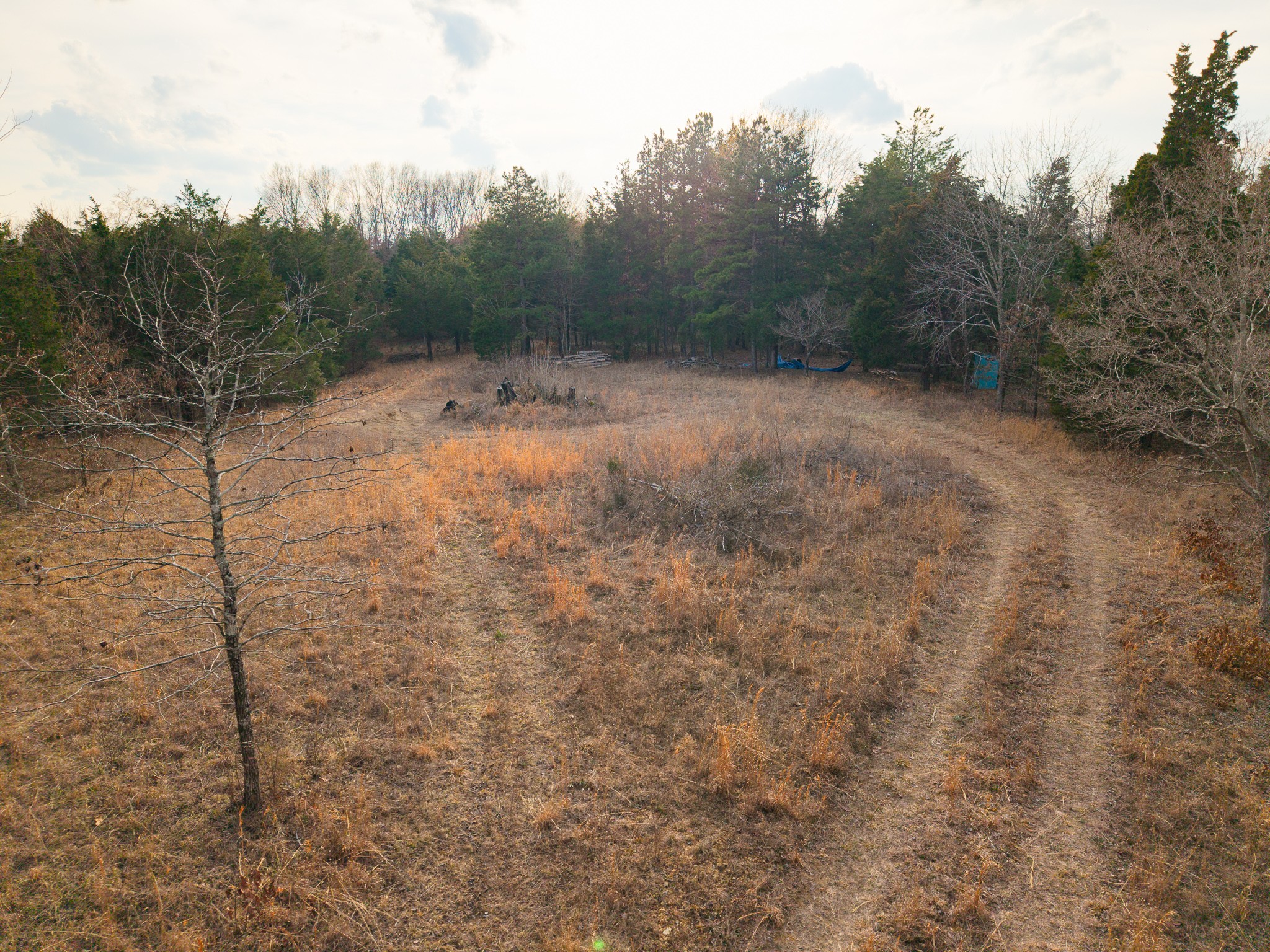 0 Mount Olive Rd, Westmoreland, TN 37186