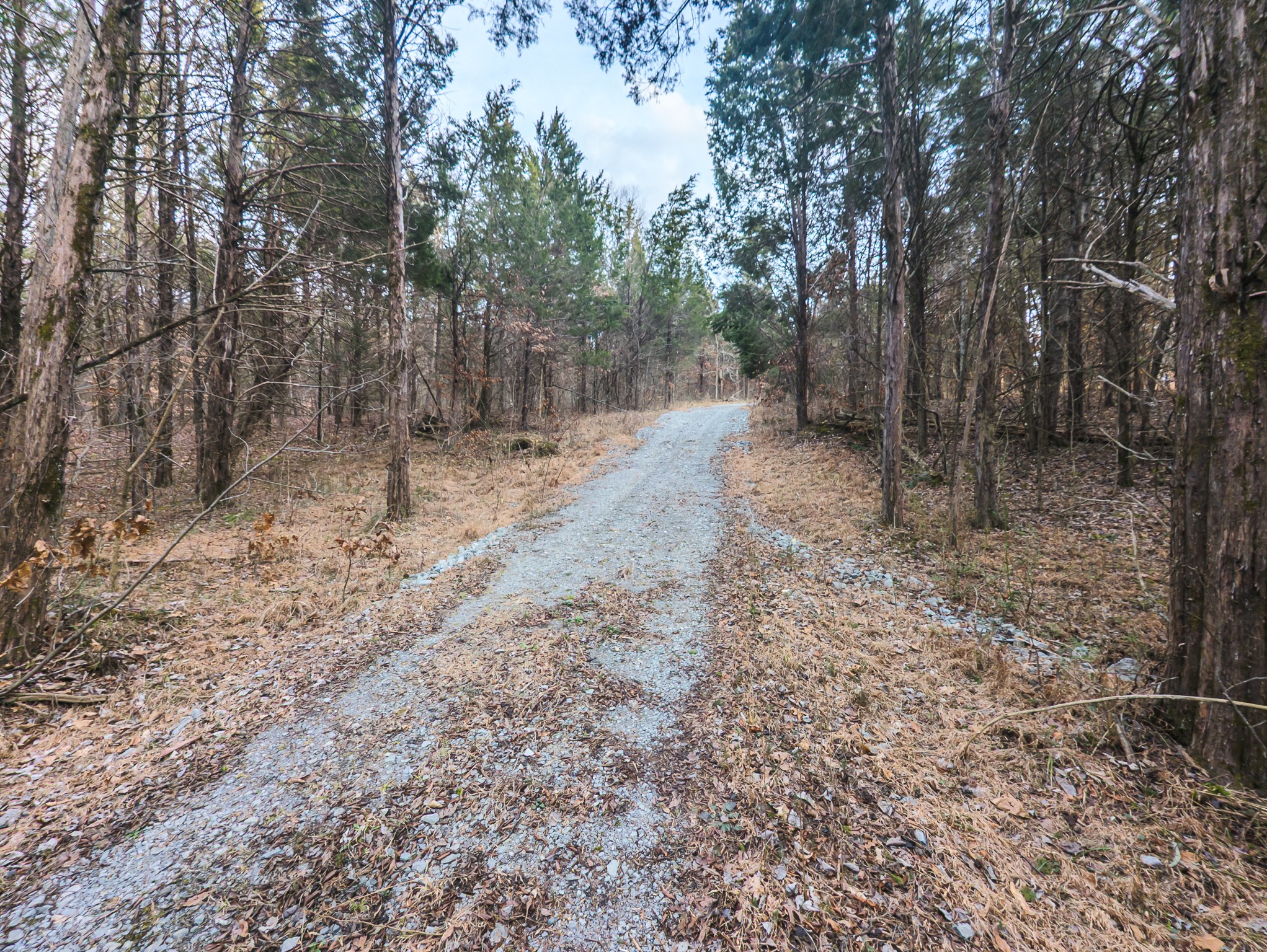0 Mount Olive Rd, Westmoreland, TN 37186