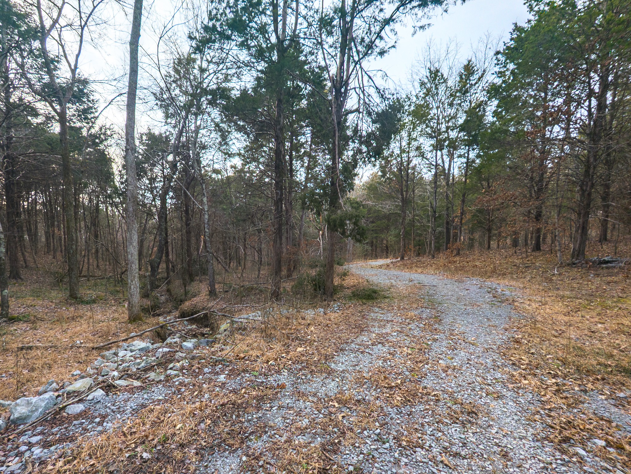 0 Mount Olive Rd, Westmoreland, TN 37186