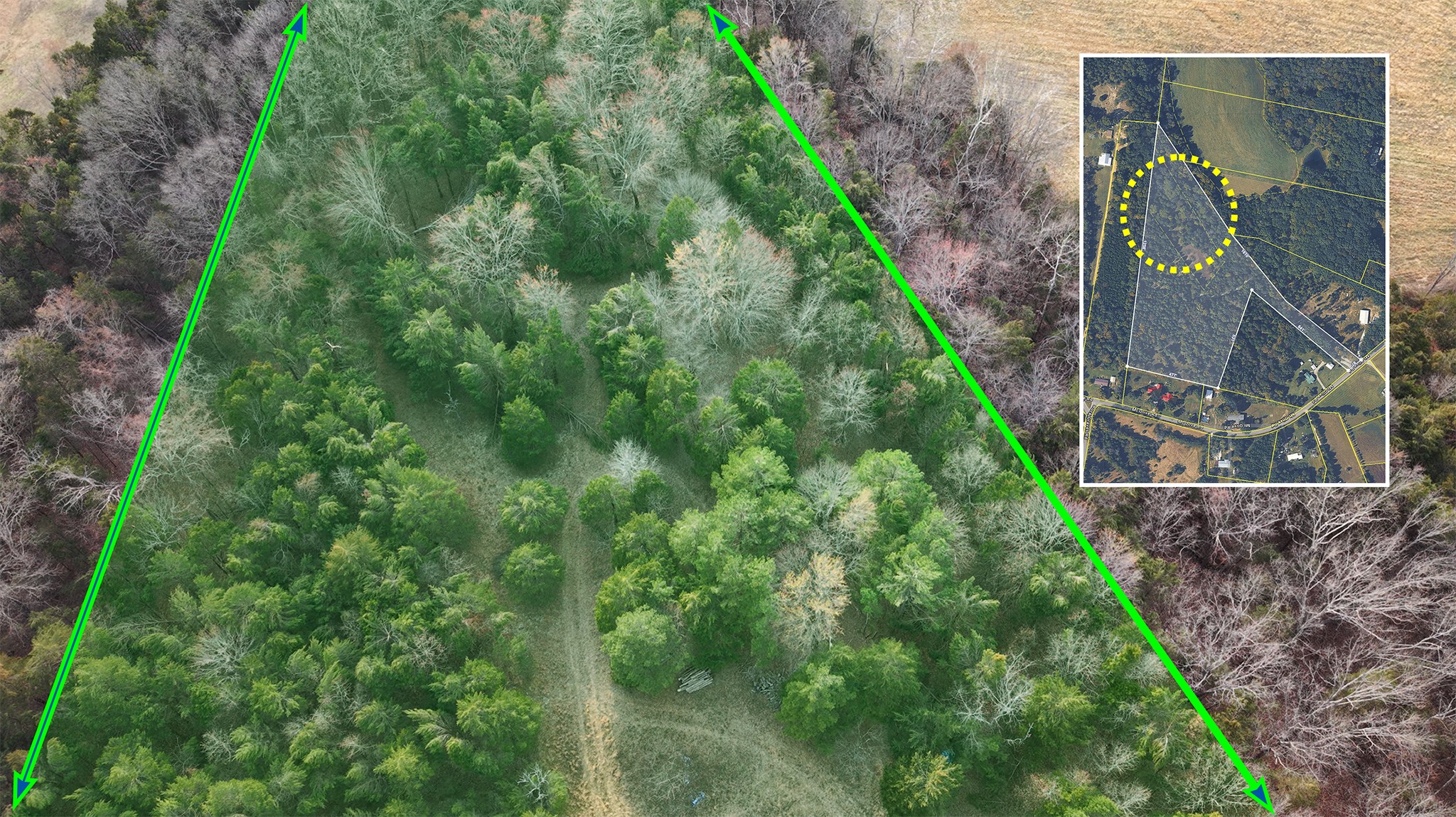 0 Mount Olive Rd, Westmoreland, TN 37186