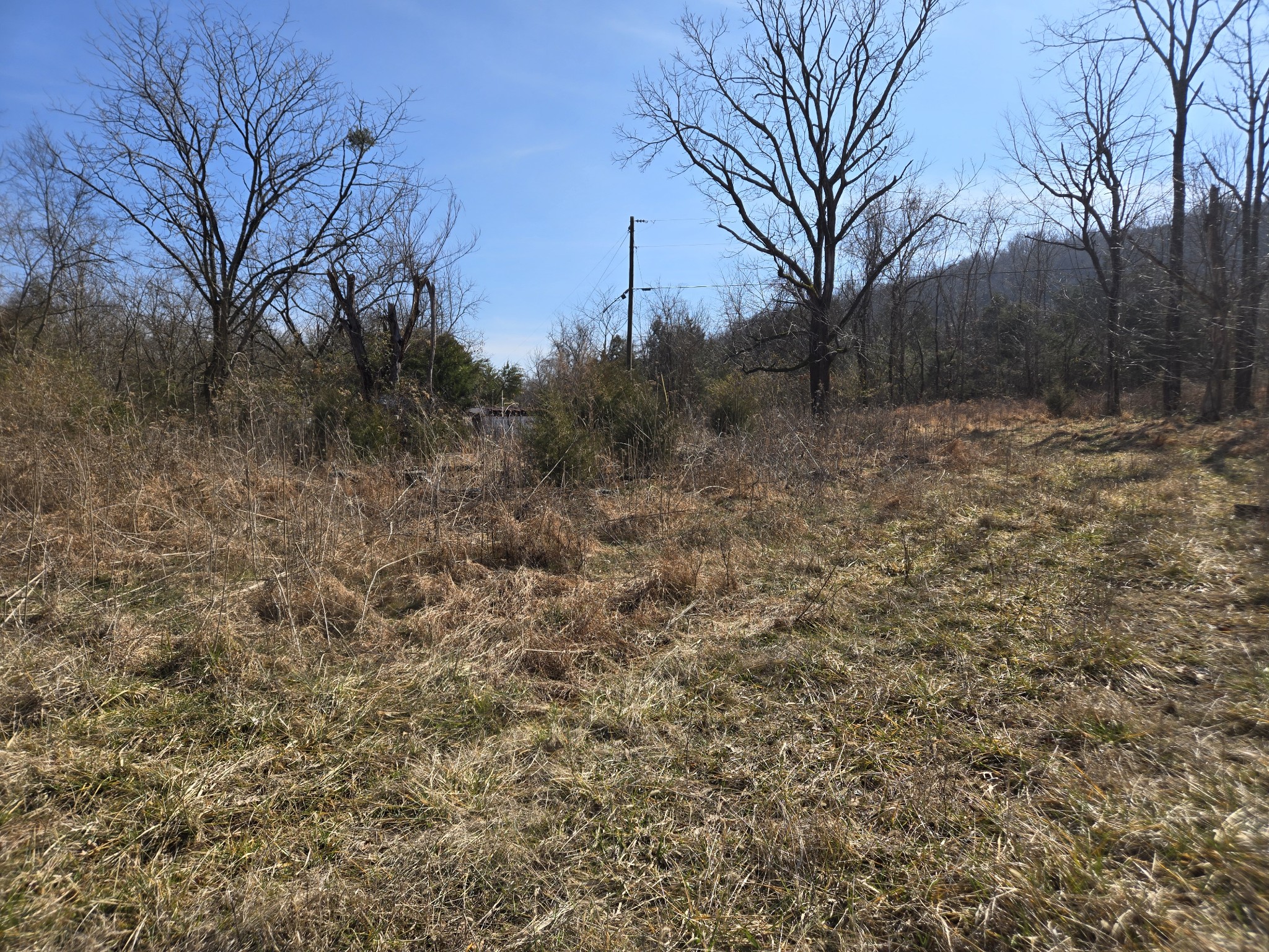 3434 Fosterville Short Creek Rd, Bell Buckle, TN 37020