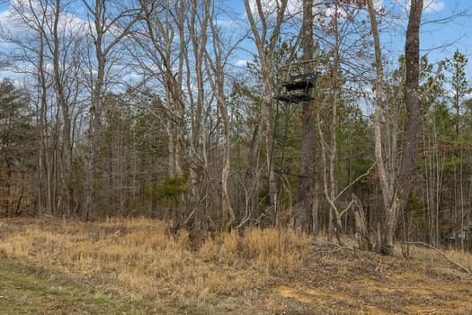 0 Mosley Ferry Rd Lot 3, Ashland City, TN 37015