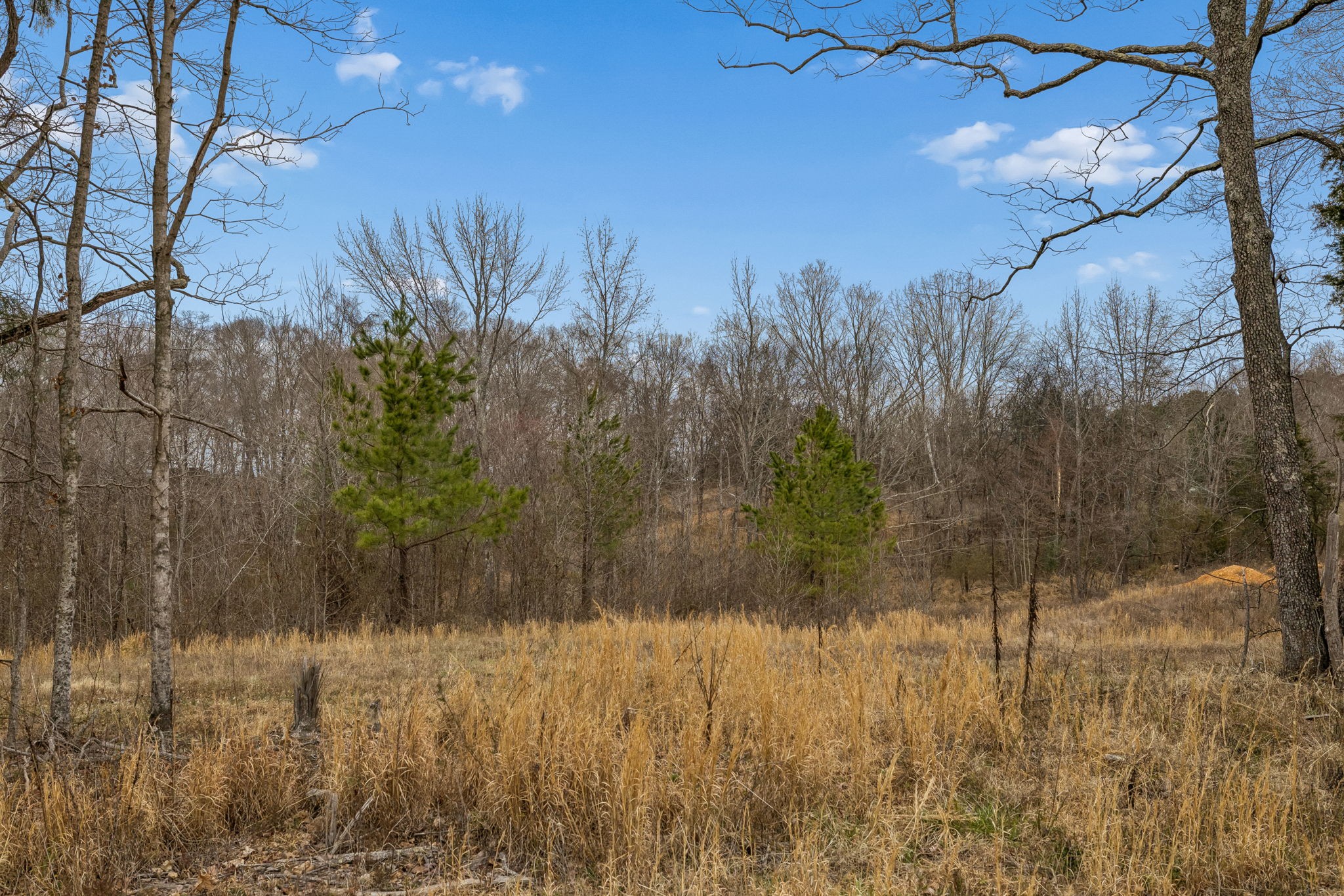 0 Mosley Ferry Rd Lot 3, Ashland City, TN 37015