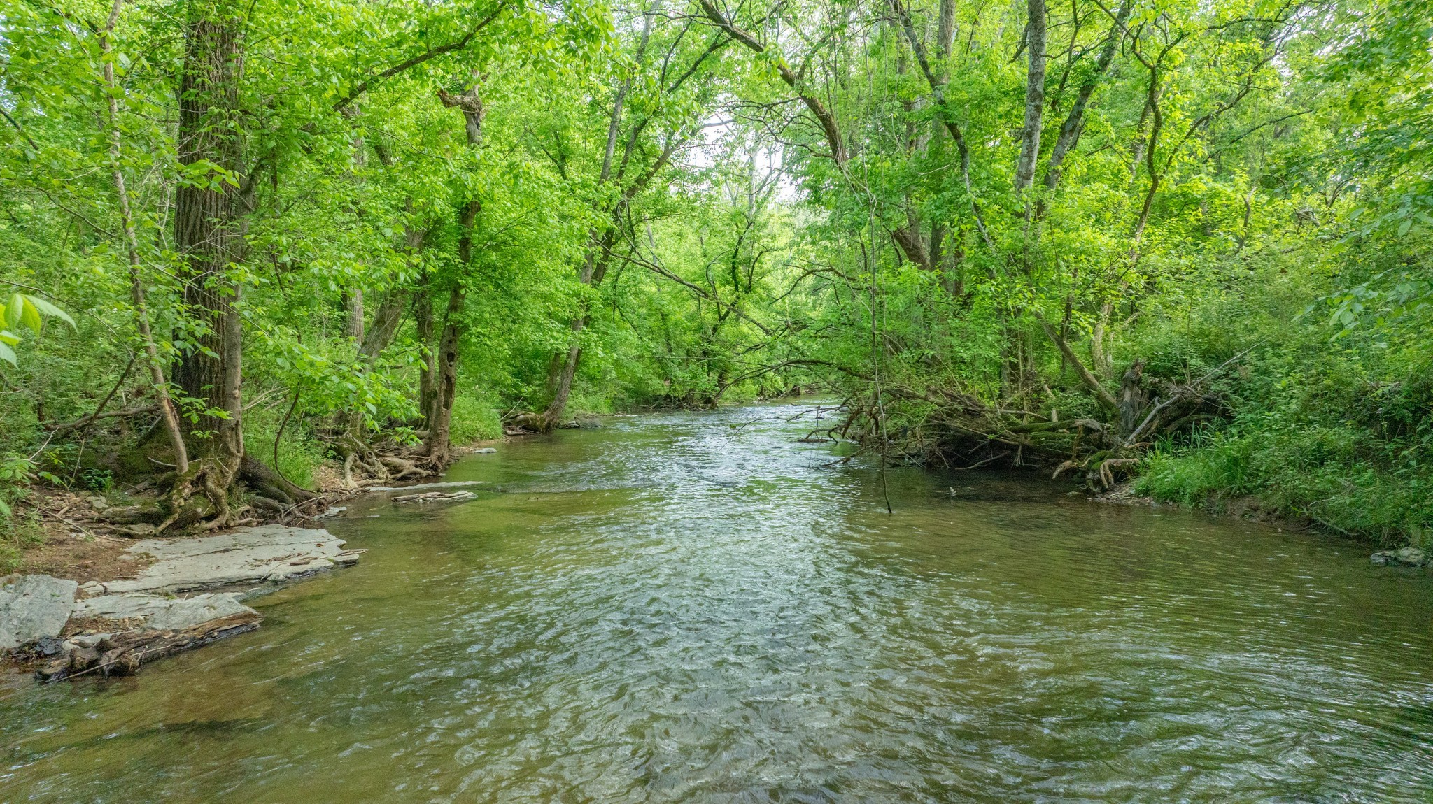 0 Snow Creek Rd Lot 1C, Santa Fe, TN 38482