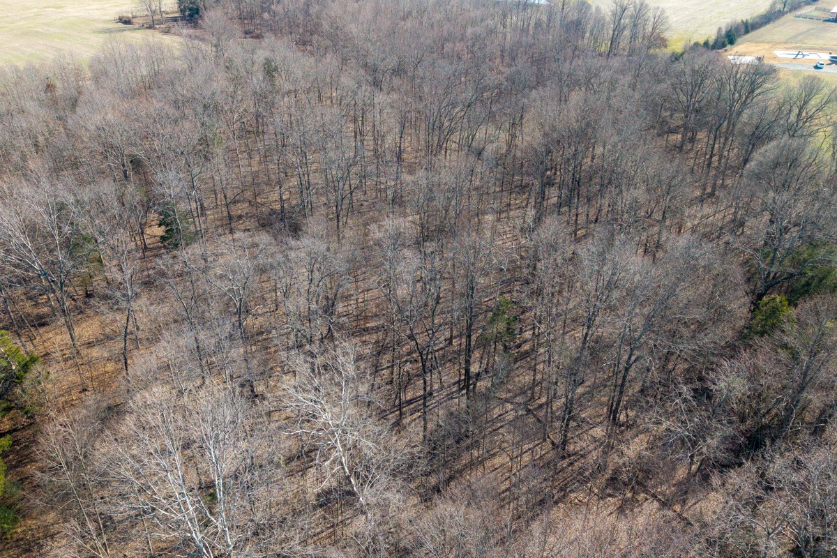782B New Deal Potts Rd Lot B&C, Cottontown, TN 37048