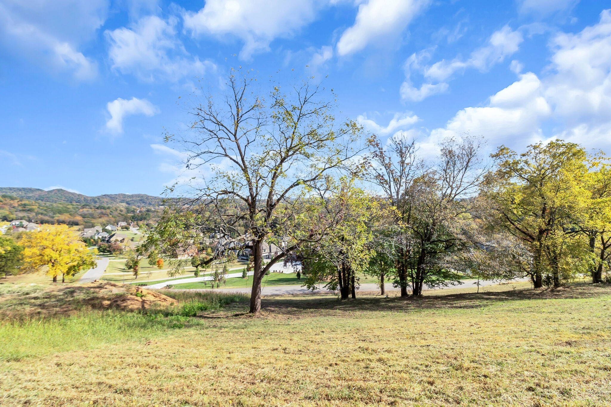 4439 Ivan Creek Dr Lot #119, Franklin, TN 37064