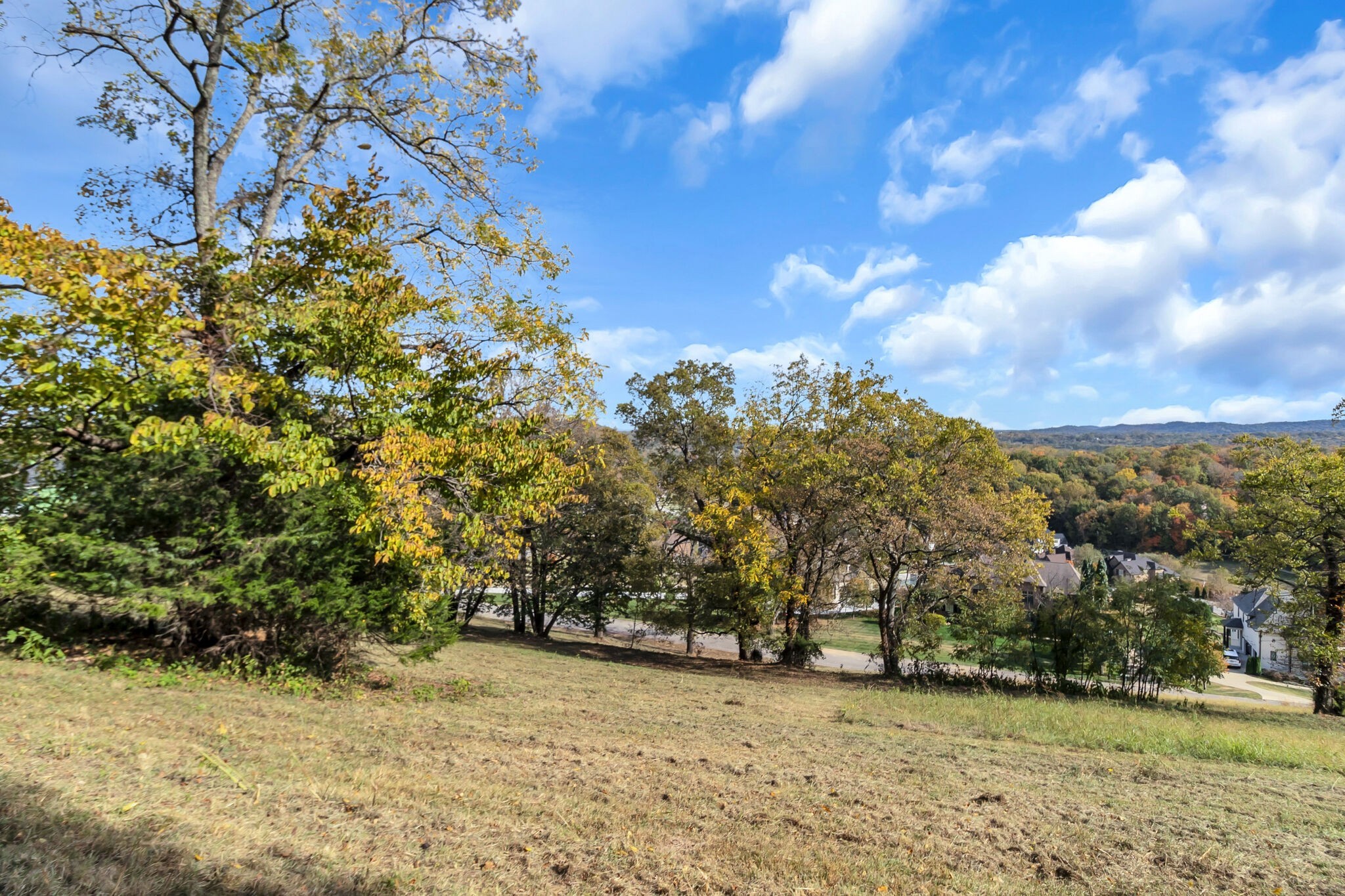 4439 Ivan Creek Dr Lot #119, Franklin, TN 37064