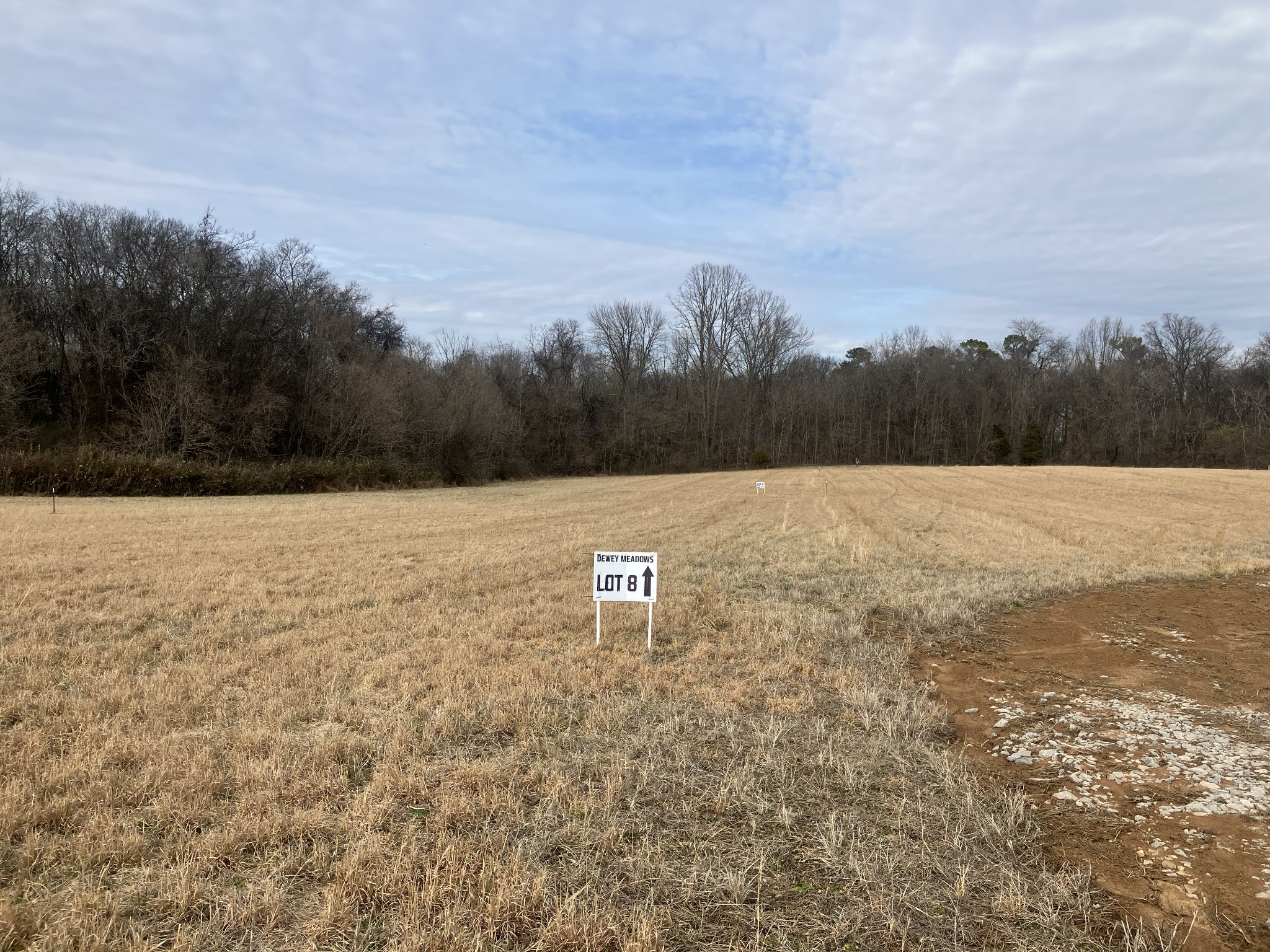 8 Southport Rd Lot 8, Mount Pleasant, TN 38474