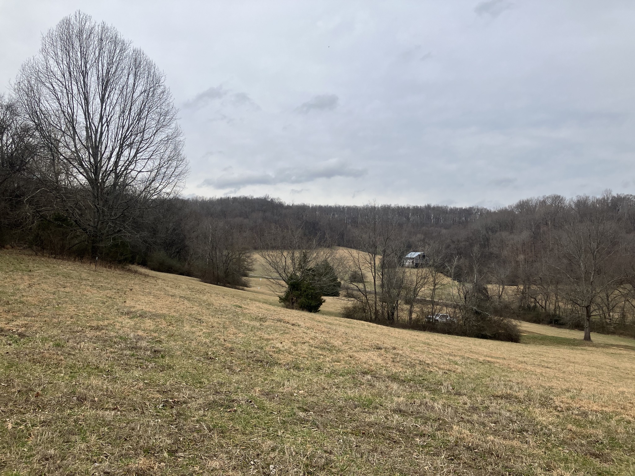 12 Booker Ridge Rd, Mount Pleasant, TN 38474
