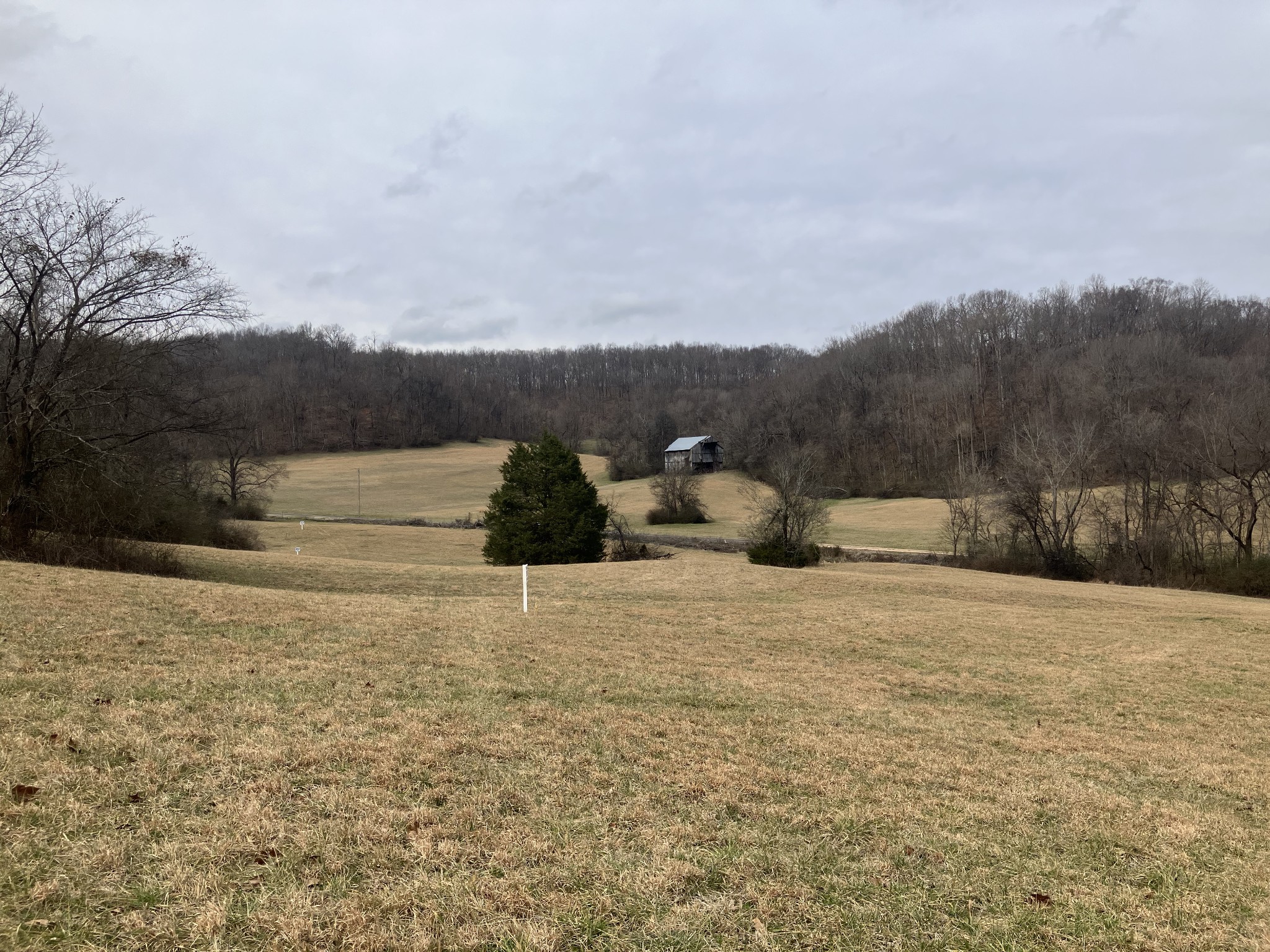 12 Booker Ridge Rd, Mount Pleasant, TN 38474