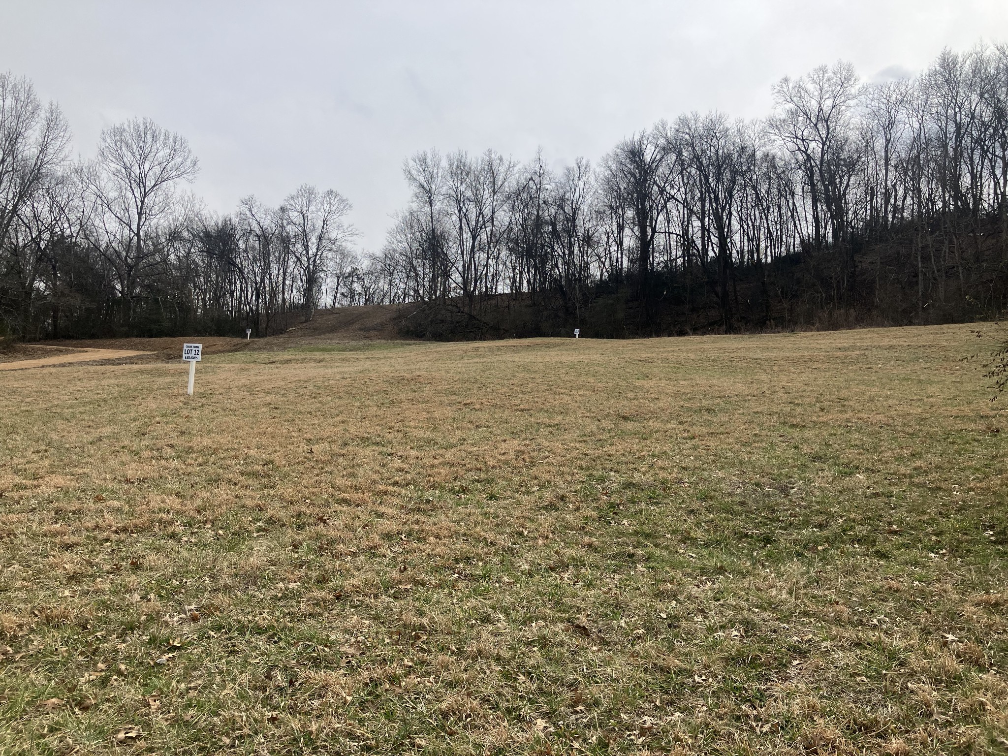 12 Booker Ridge Rd, Mount Pleasant, TN 38474
