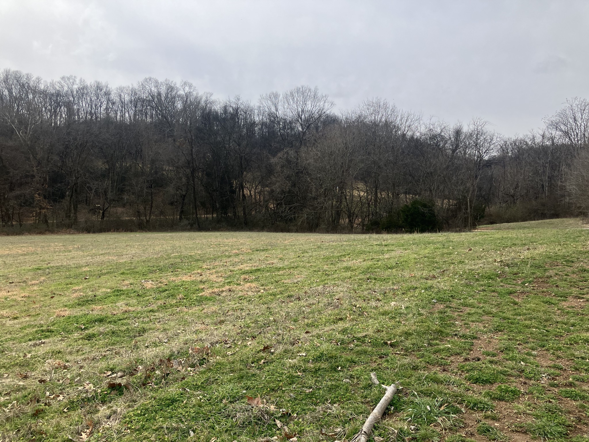 12 Booker Ridge Rd, Mount Pleasant, TN 38474
