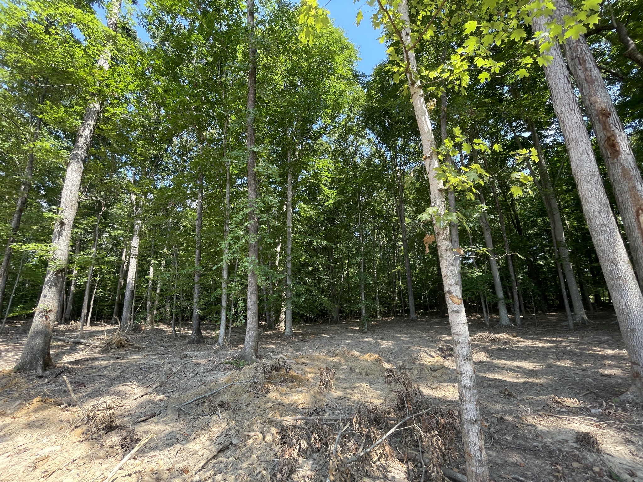 211 Beechwood Ct W, Pegram, TN 37143