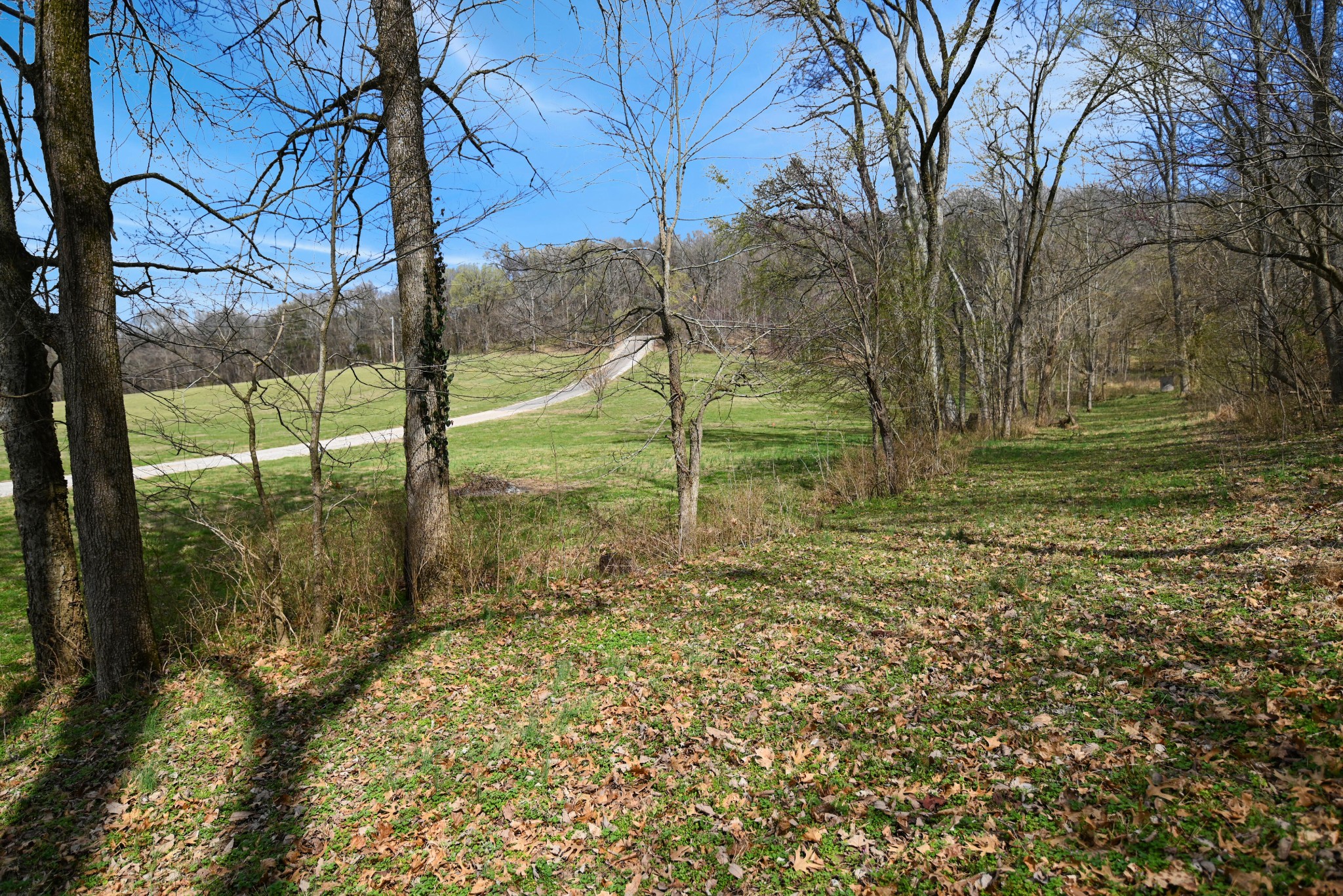 4050 Cantebury Dr Lot 1&3, Culleoka, TN 38451