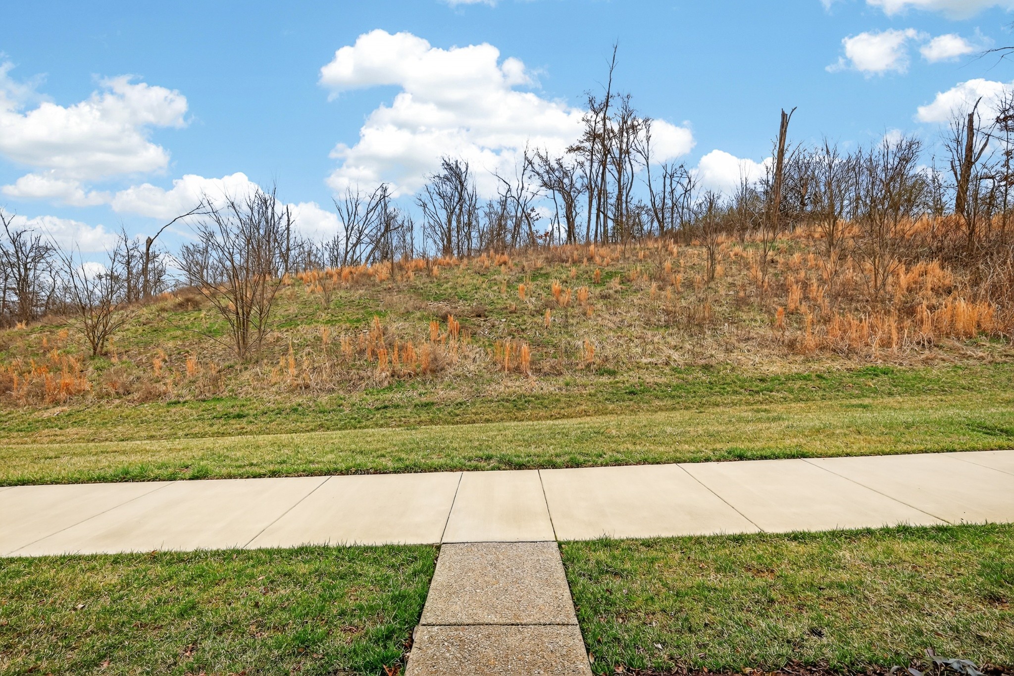 215 Trevor Dr, Mount Juliet, TN 37122
