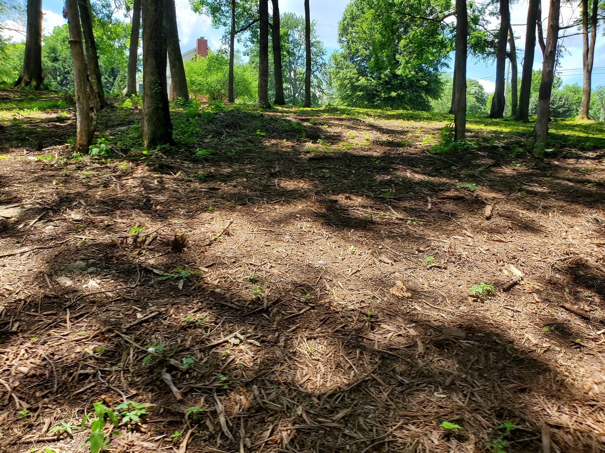1930 Arlington Rd Lot B, Lebanon, TN 37087