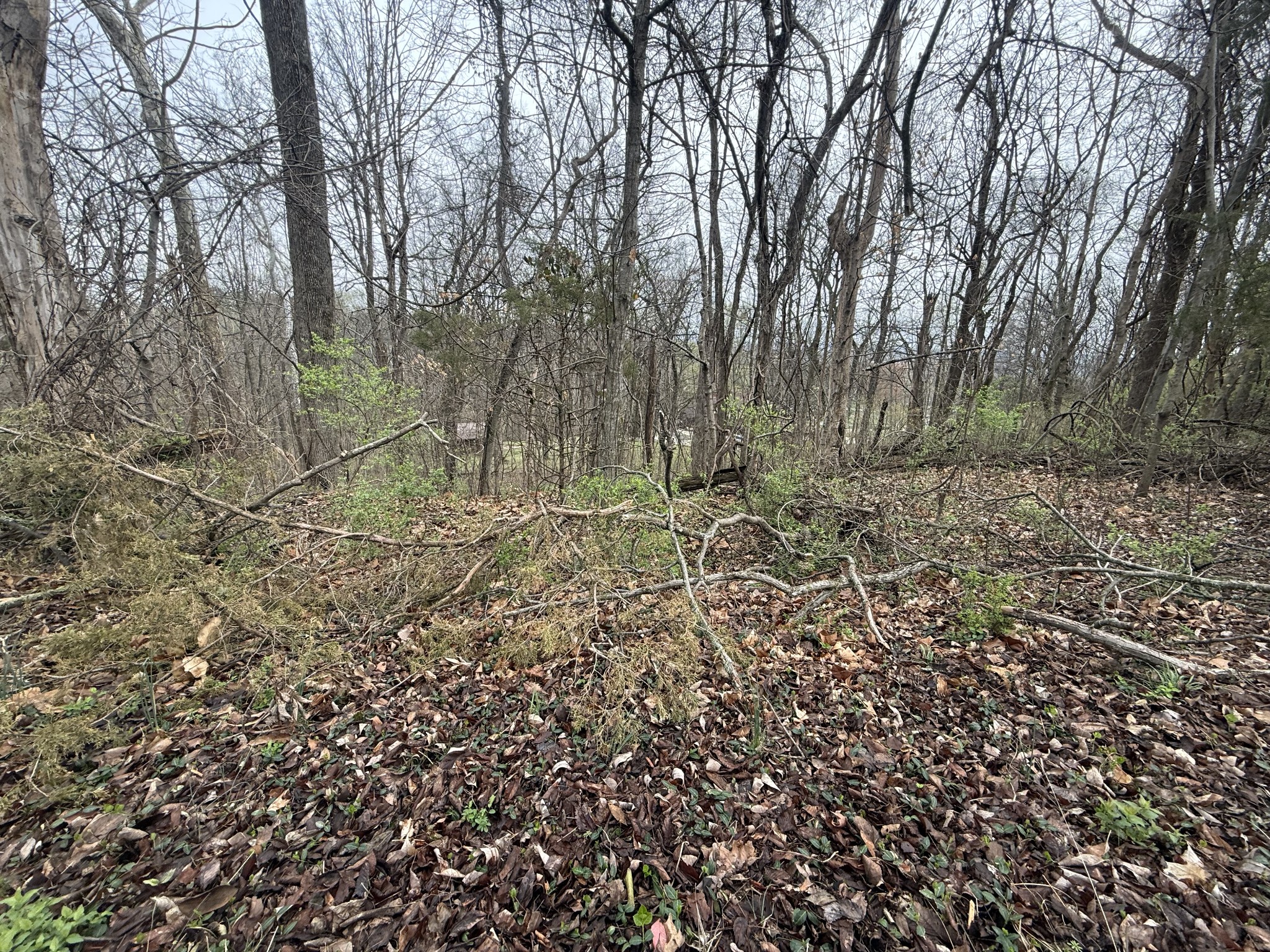 1915 Appomattox Dr Lot 122, Lebanon, TN 37087