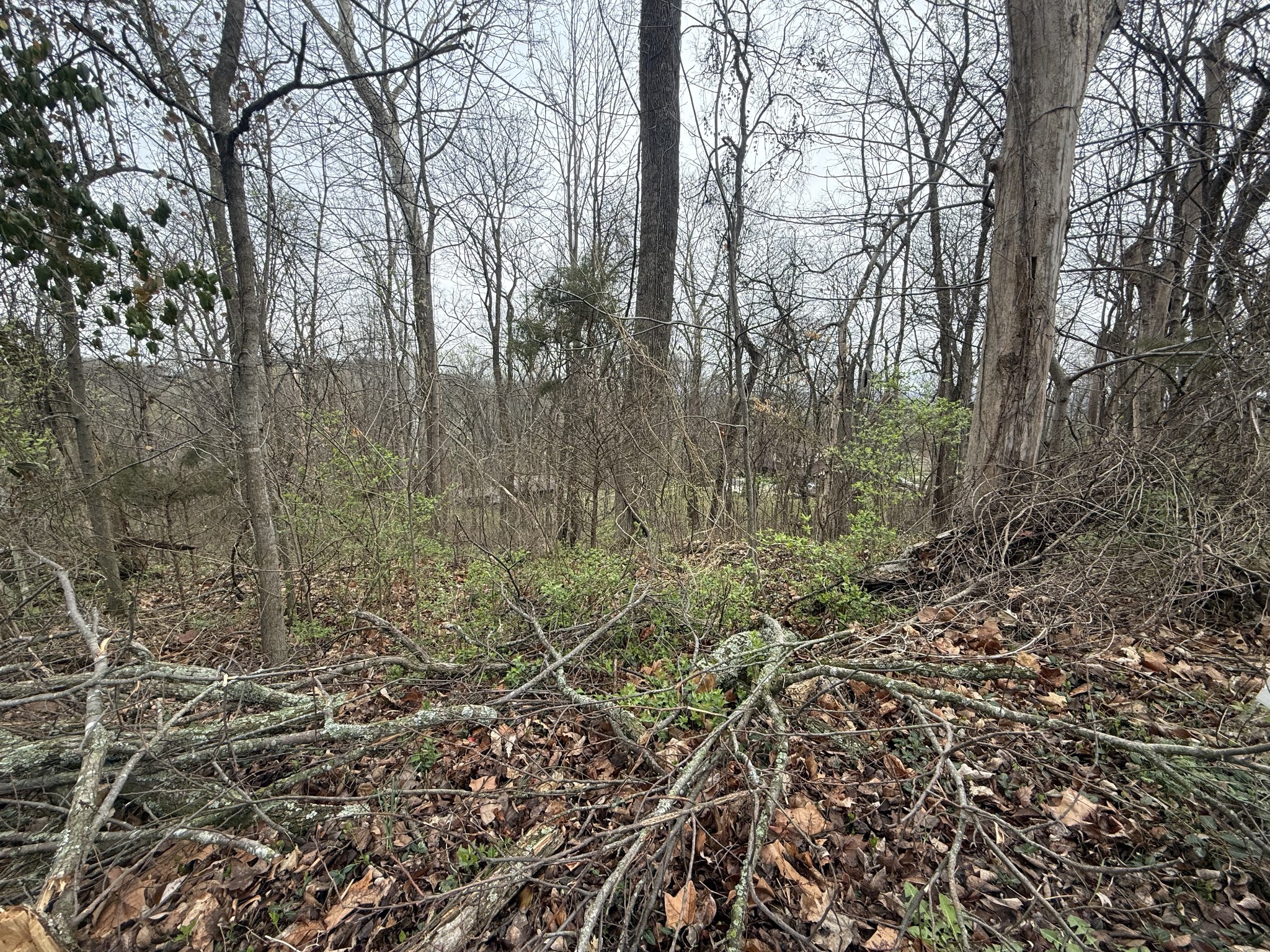 1915 Appomattox Dr Lot 122, Lebanon, TN 37087