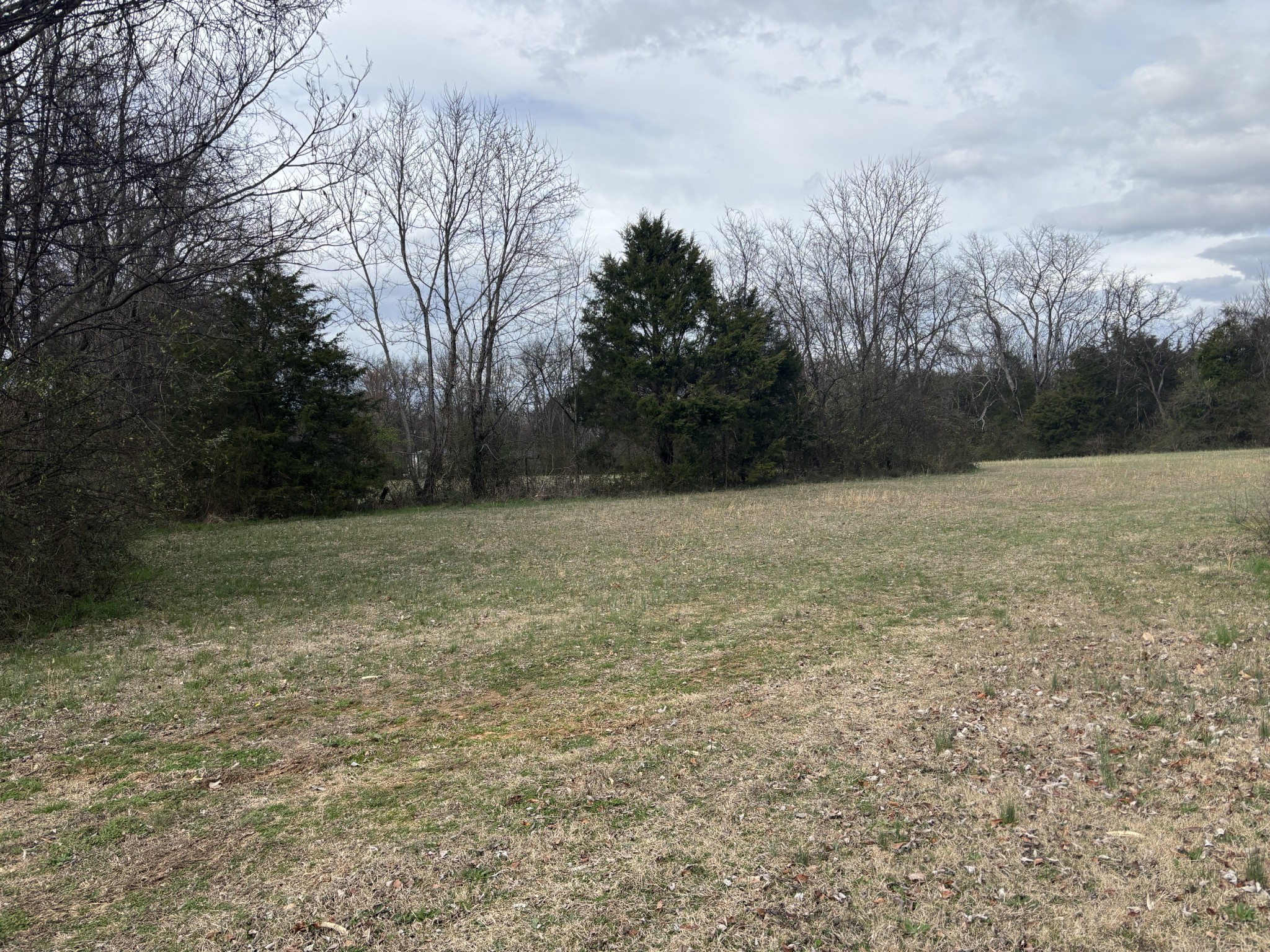 111 Eatherly Dr, Lebanon, TN 37087
