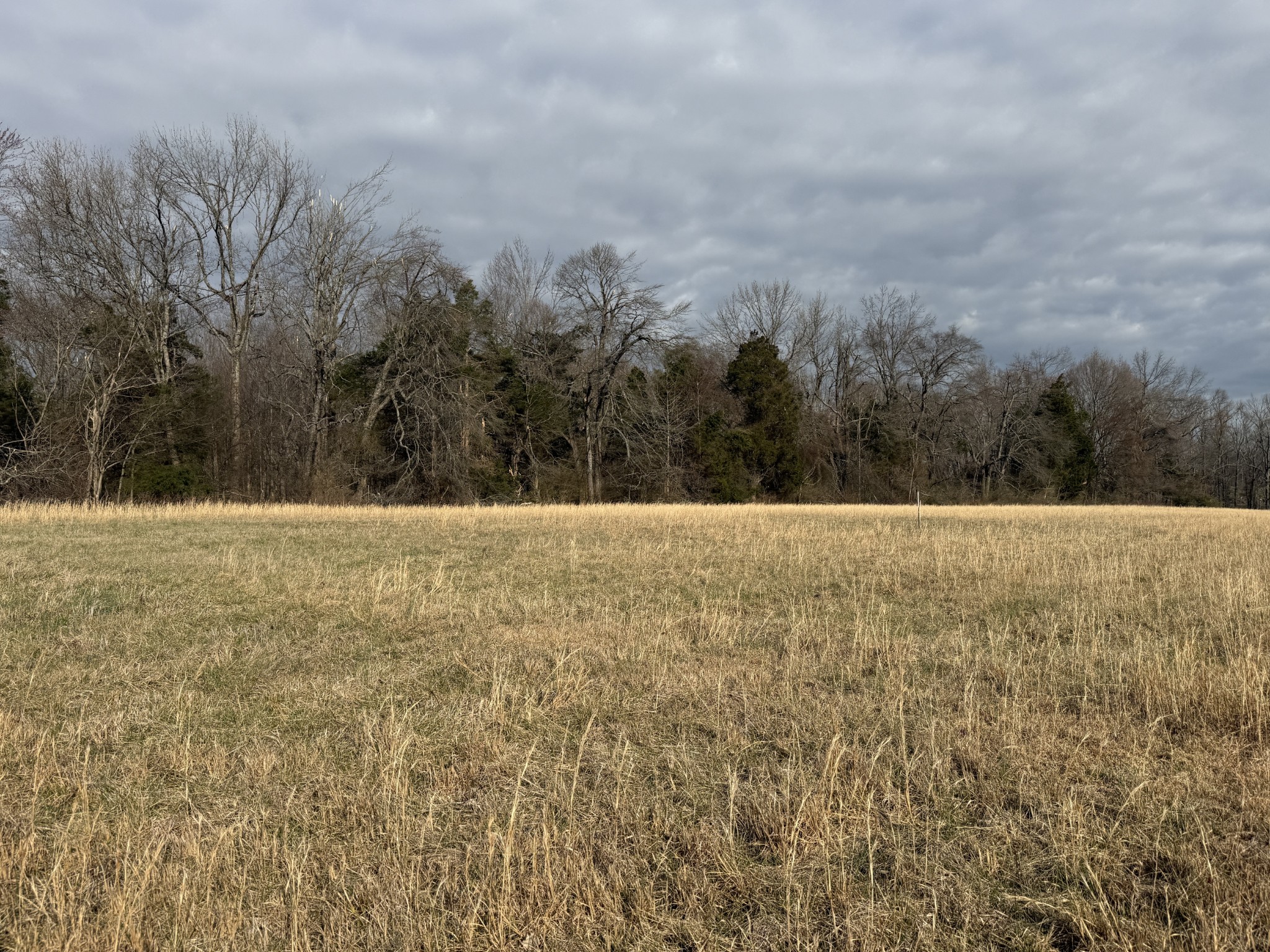 771 Mount Vernon Rd Lot 1, Bethpage, TN 37022