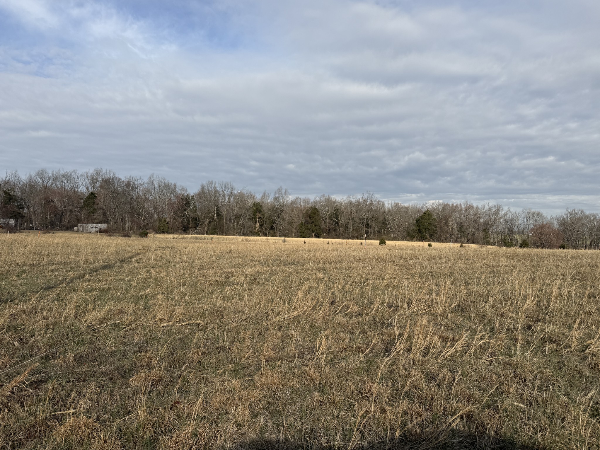 771 Mount Vernon Rd Lot 1, Bethpage, TN 37022