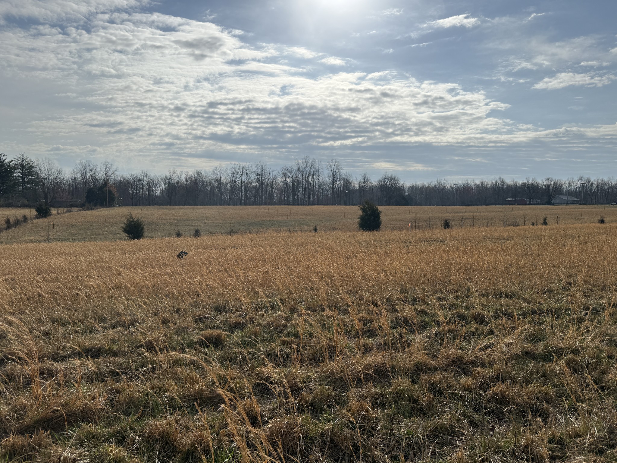 777 Mount Vernon Rd Lot 2, Bethpage, TN 37022