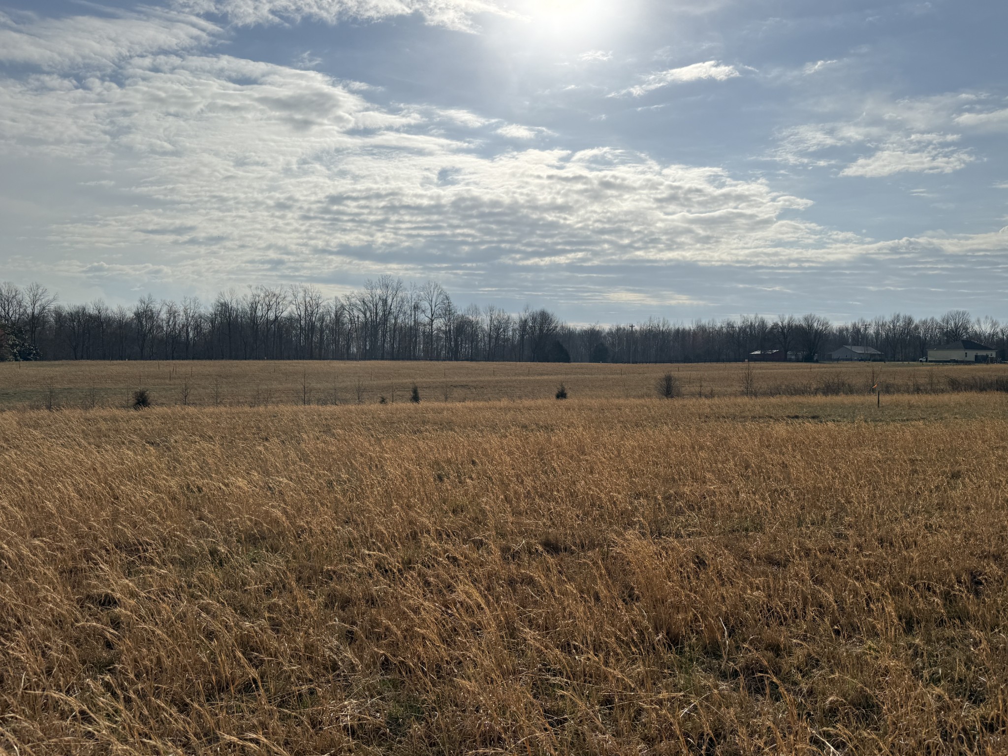 777 Mount Vernon Rd Lot 2, Bethpage, TN 37022