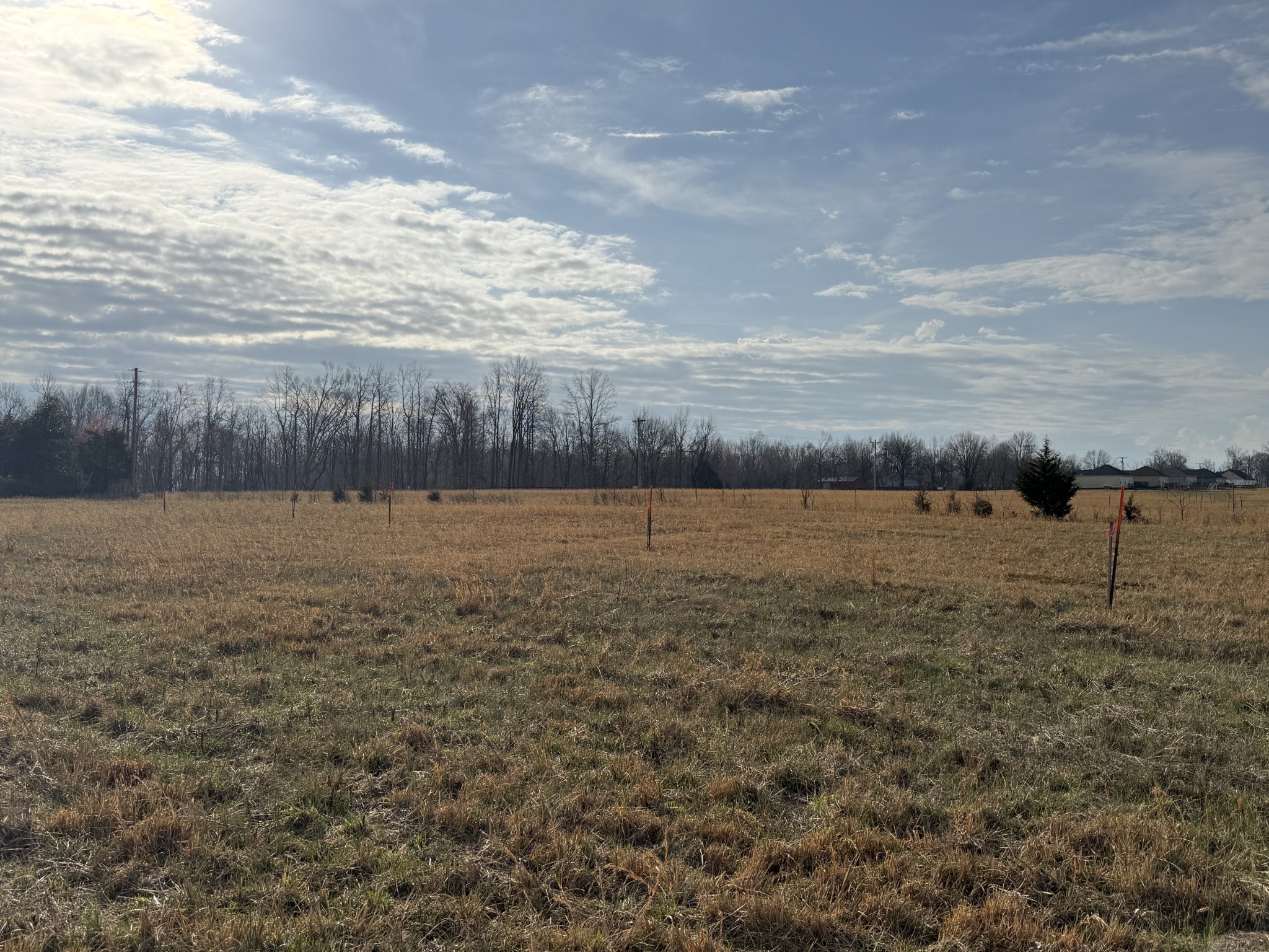789 Mount Vernon Rd Lot 4, Bethpage, TN 37022