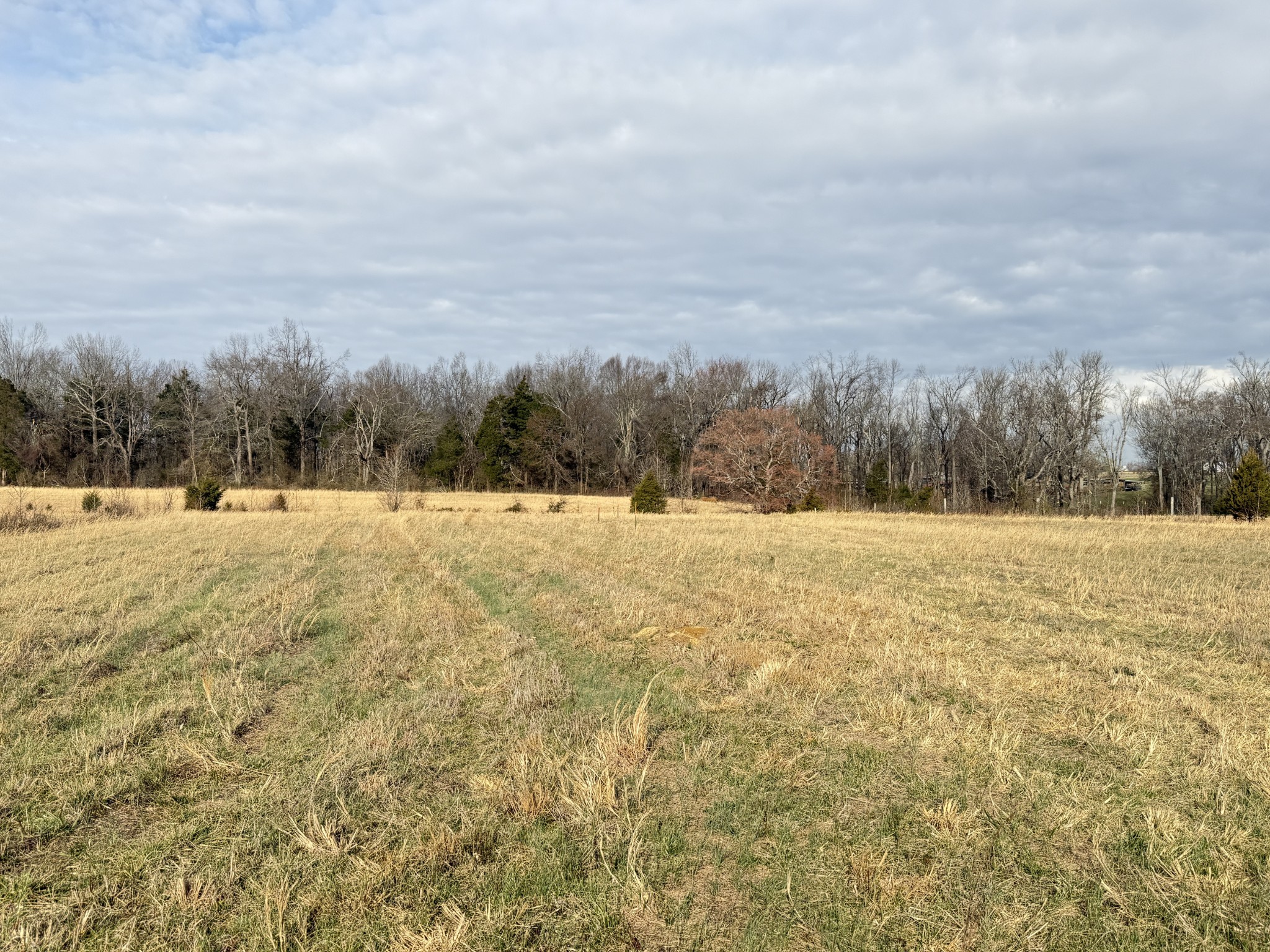 789 Mount Vernon Rd Lot 4, Bethpage, TN 37022