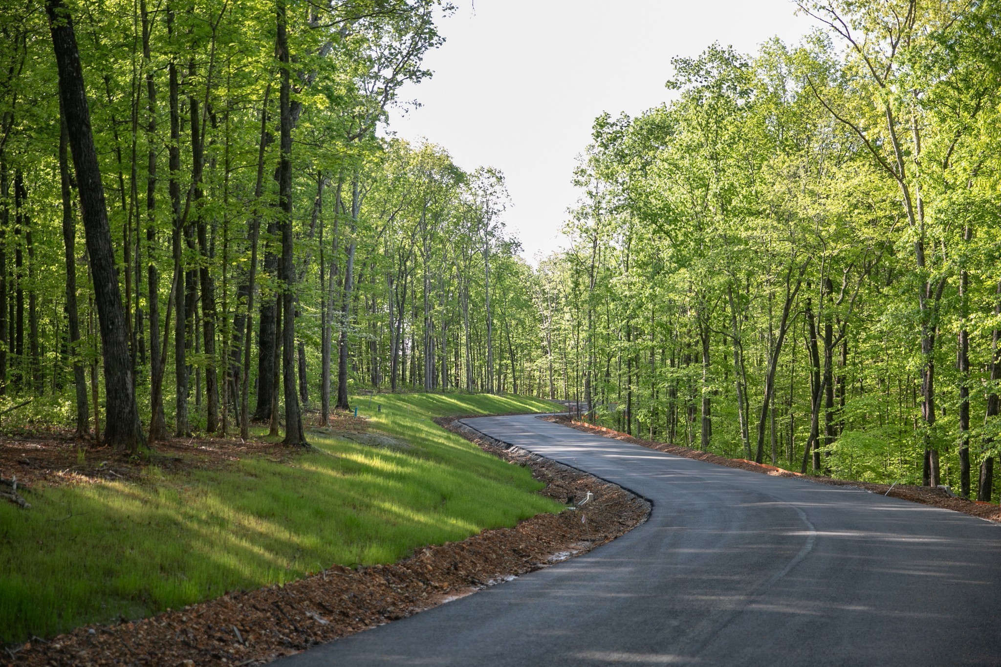 0 Pinewood Rd Lot 104, Franklin, TN 37064