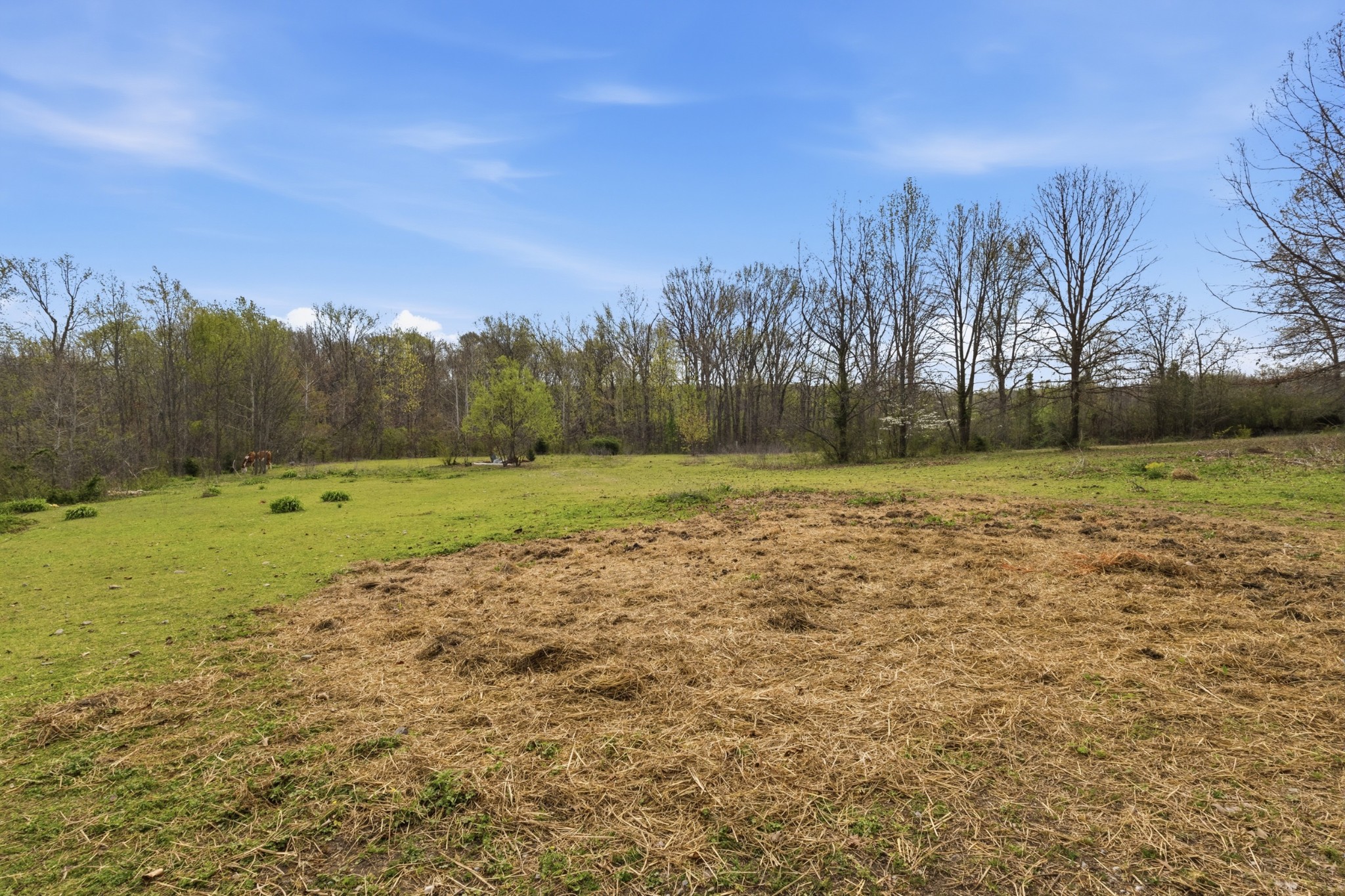 5977 Old Highway 431, Springfield, TN 37172