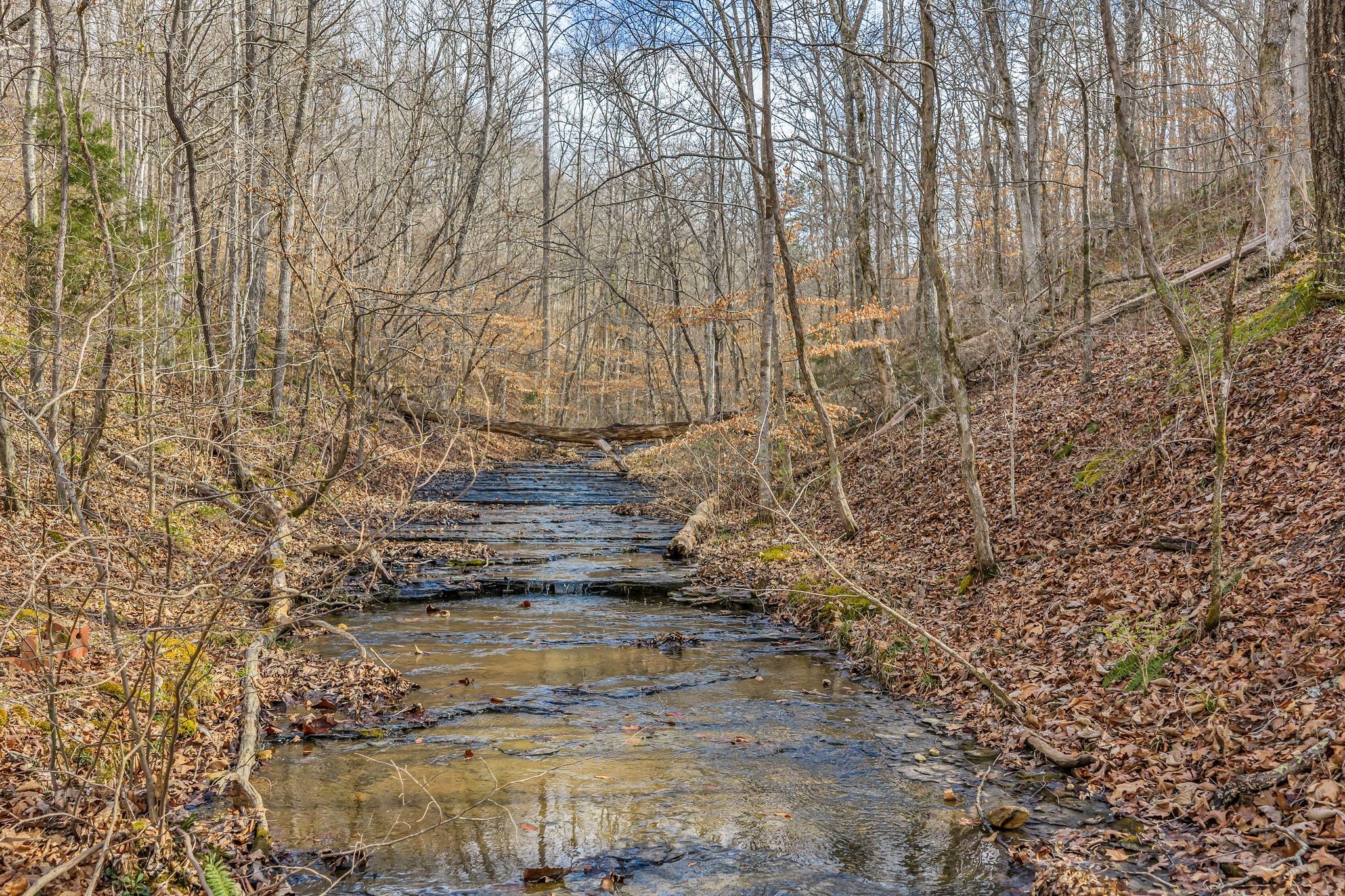 0 Old Sams Creek Rd Lot 9, Pegram, TN 37143
