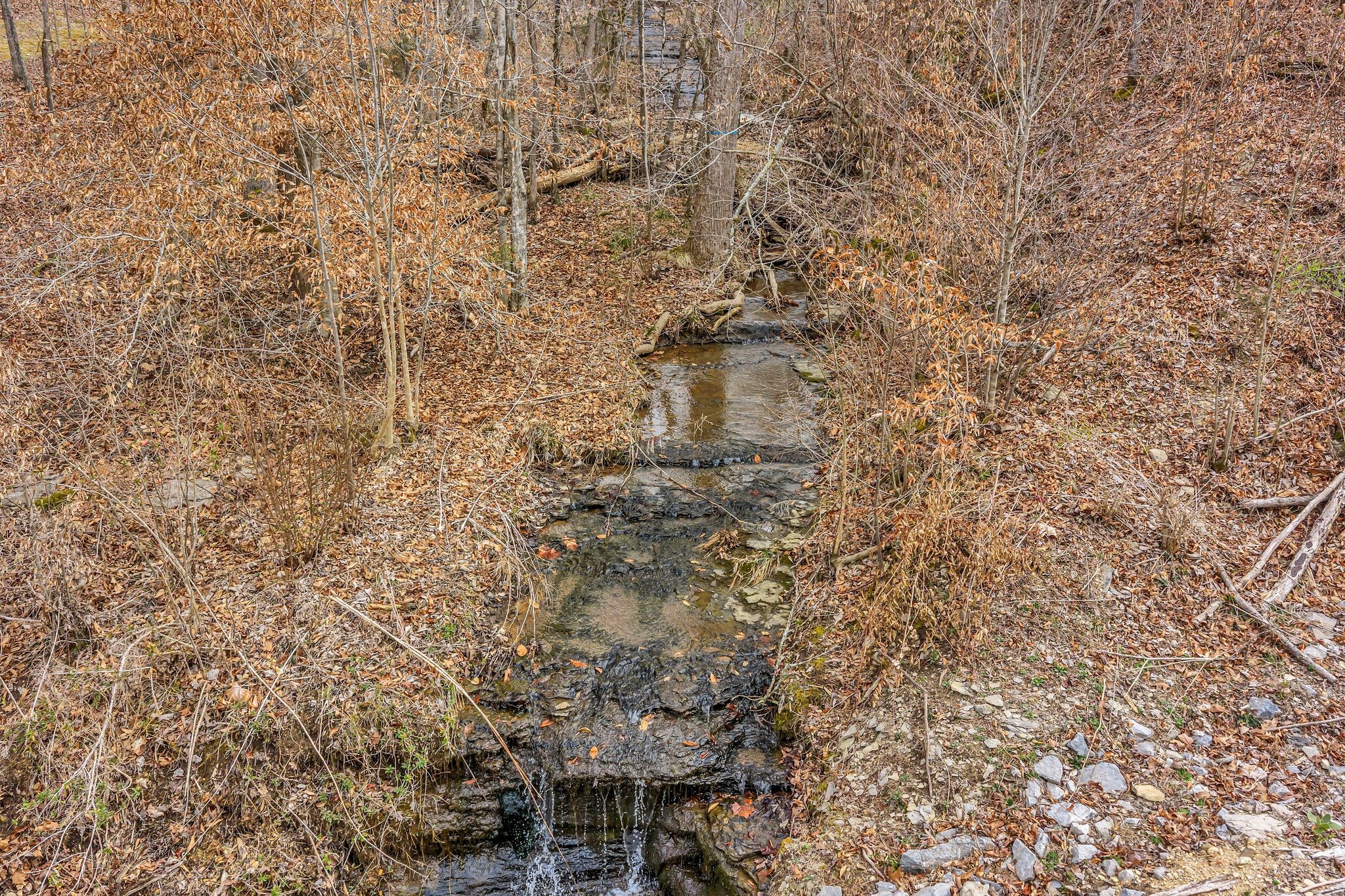 0 Old Sams Creek Rd Lot 9, Pegram, TN 37143