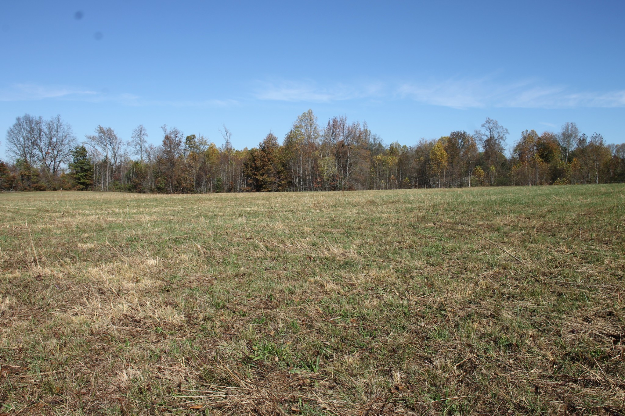 221 Whitson Rd, Bethpage, TN 37022