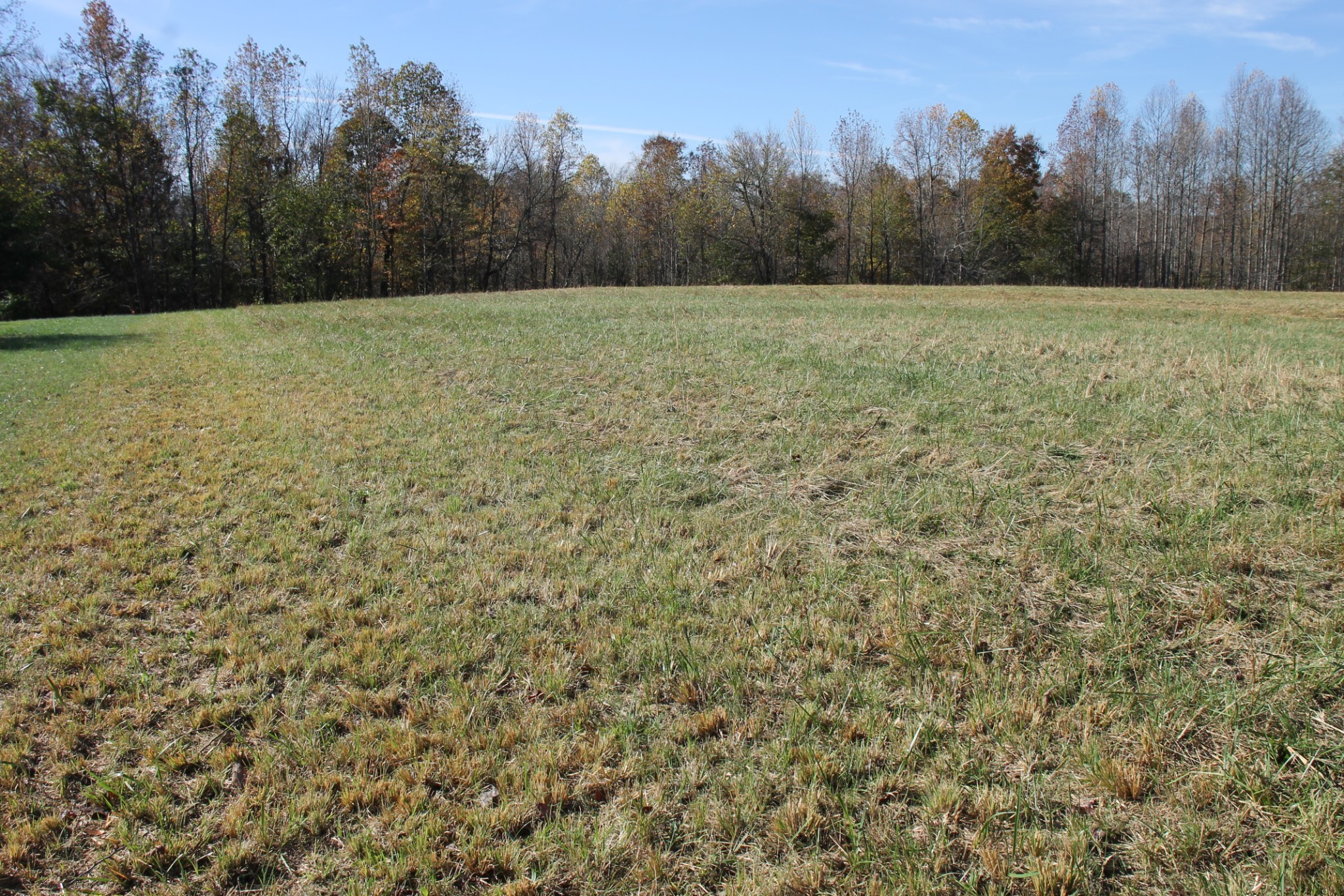 221 Whitson Rd, Bethpage, TN 37022