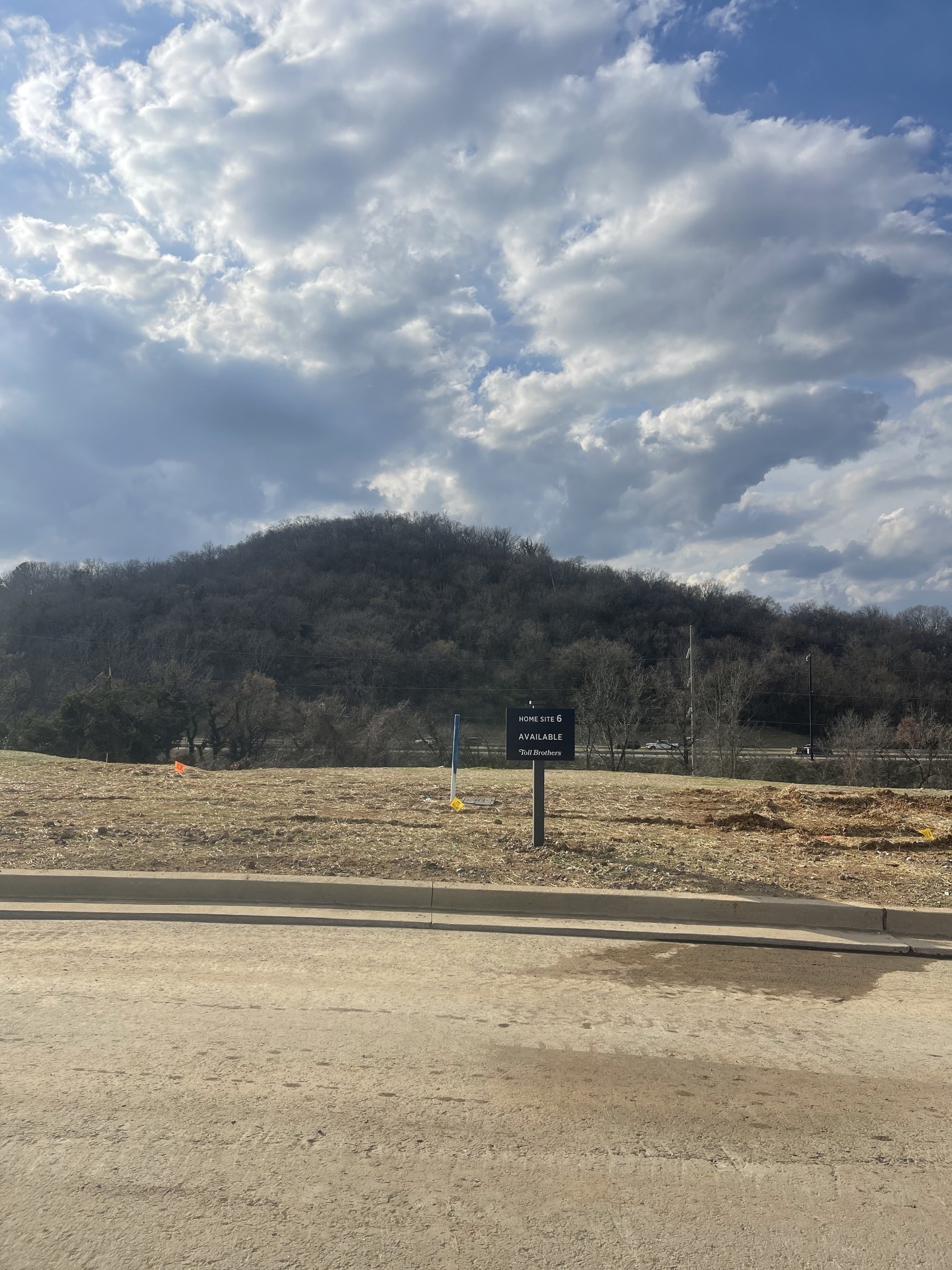 207 Berry Hunter Ln, Franklin, TN 37067