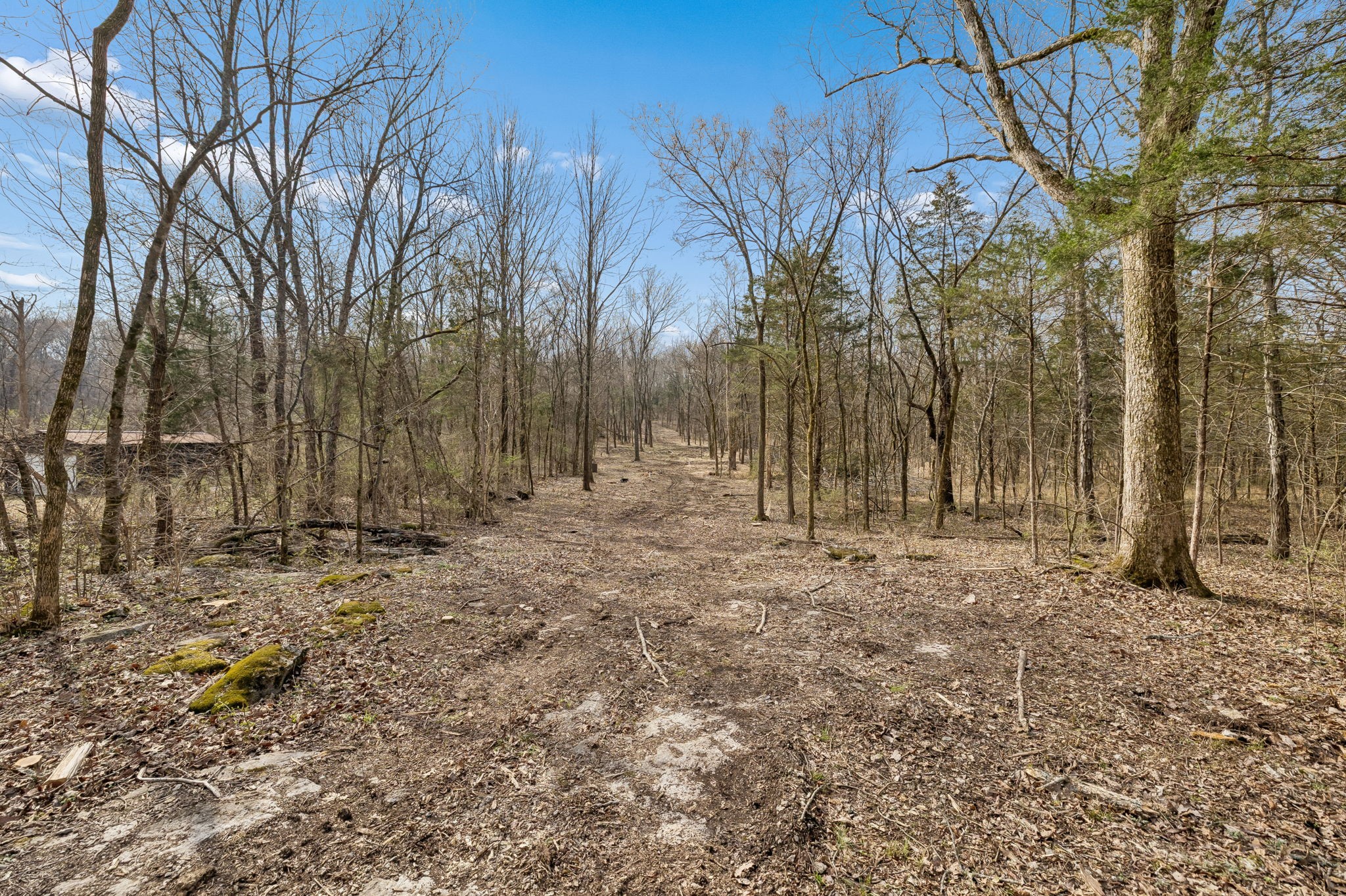 191 Gwin Pl Lot 3, Mount Juliet, TN 37122
