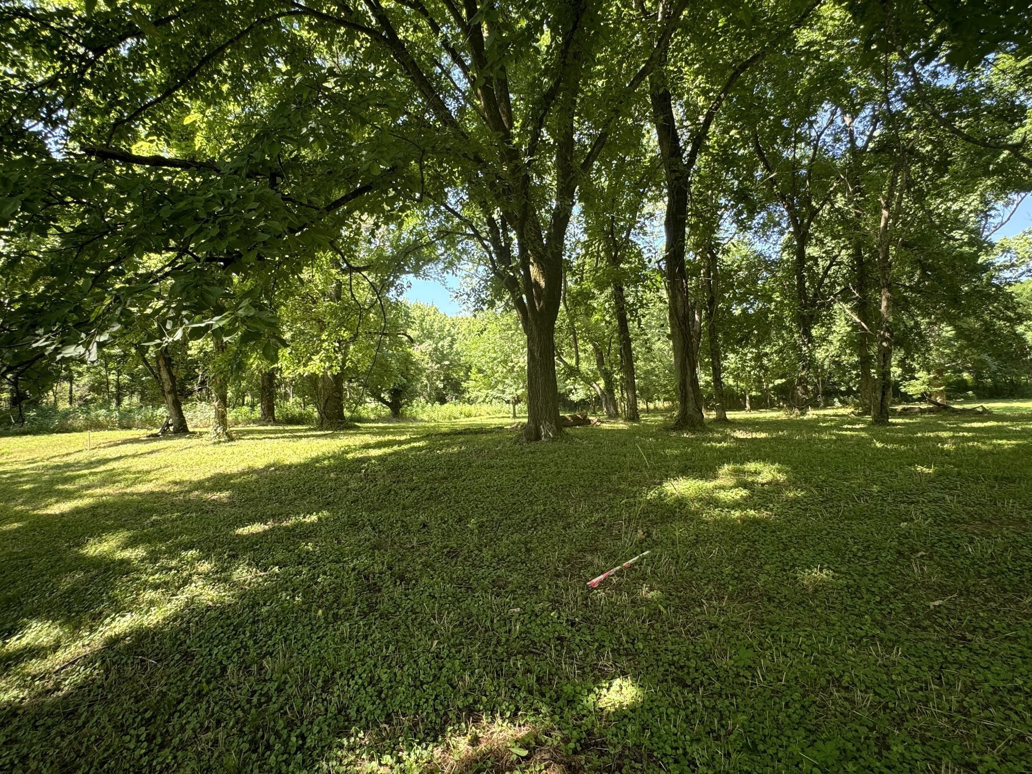 0 Sauger Dr Lot 140, Charlotte, TN 37036
