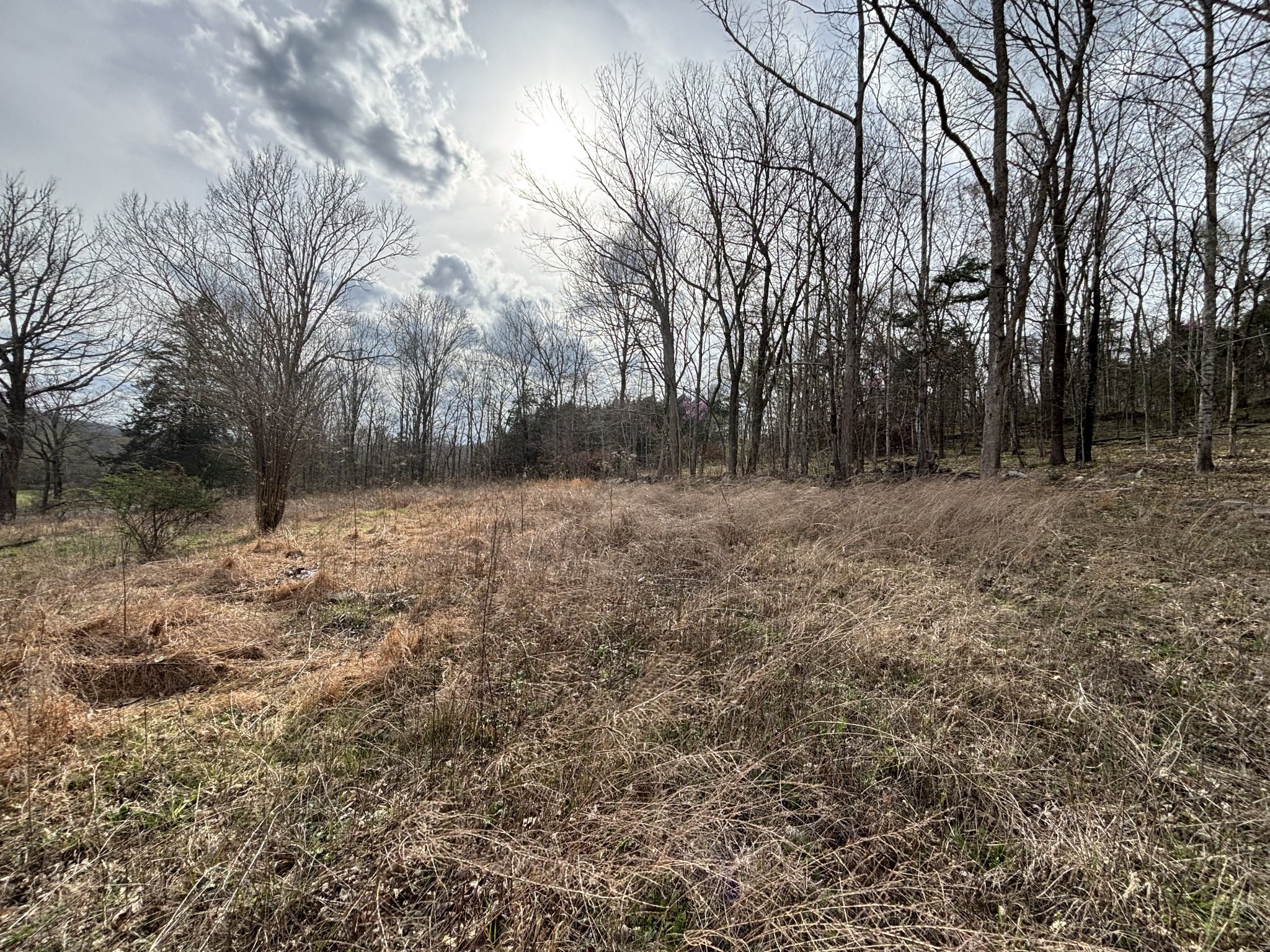 2200 Rock Springs Rd, Watertown, TN 37184