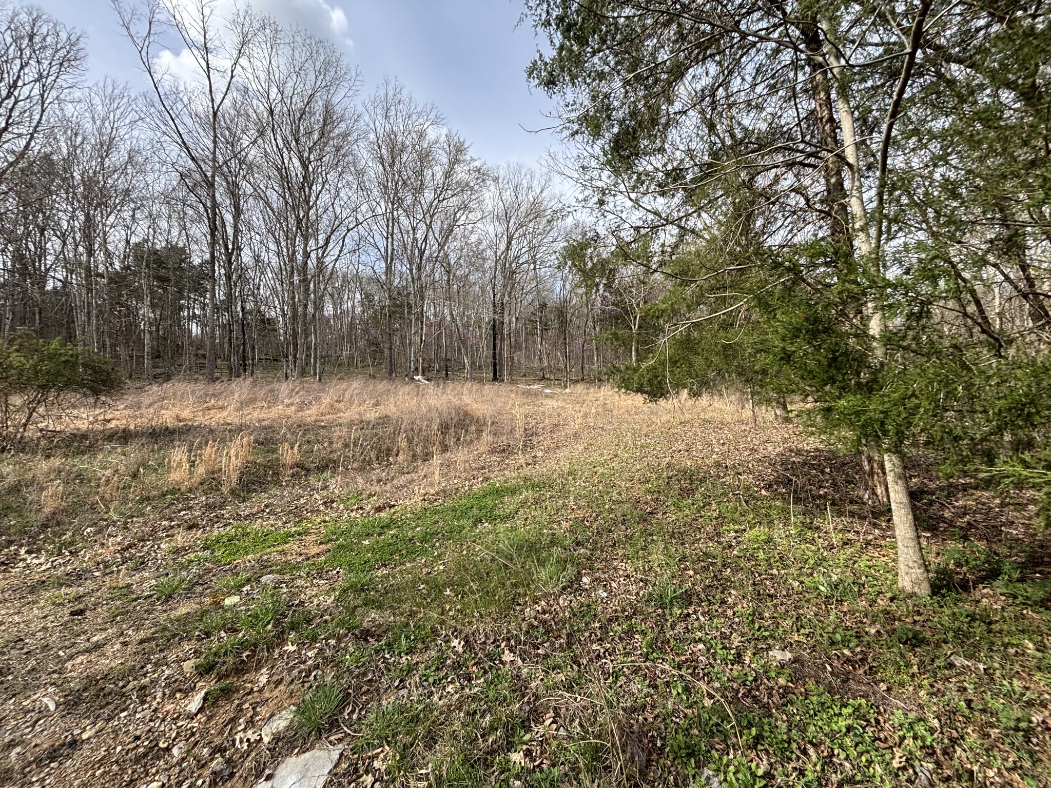 2200 Rock Springs Rd, Watertown, TN 37184
