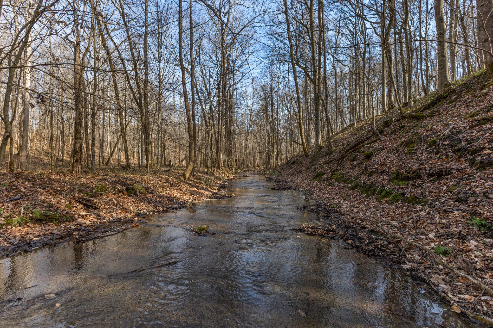 22 Lockridge Ln, Ashland City, TN 37015