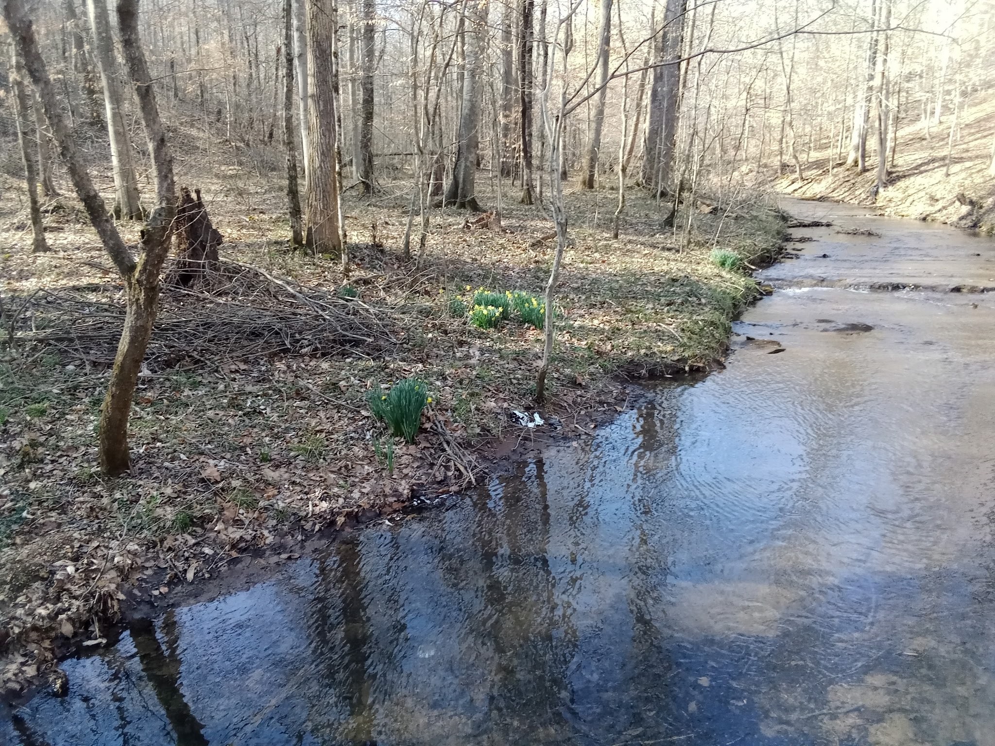 22 Lockridge Ln, Ashland City, TN 37015