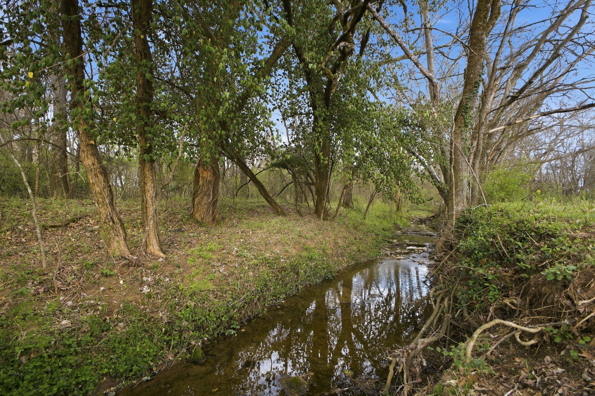 1917 Frank Moore Rd, Culleoka, TN 38451