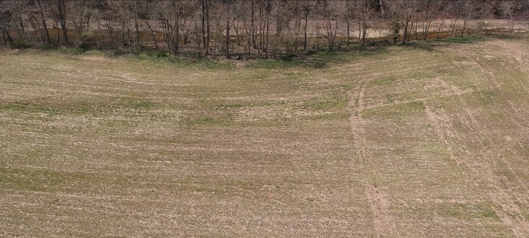 1555 Dutch Creek Rd Lot 3, Westmoreland, TN 37186