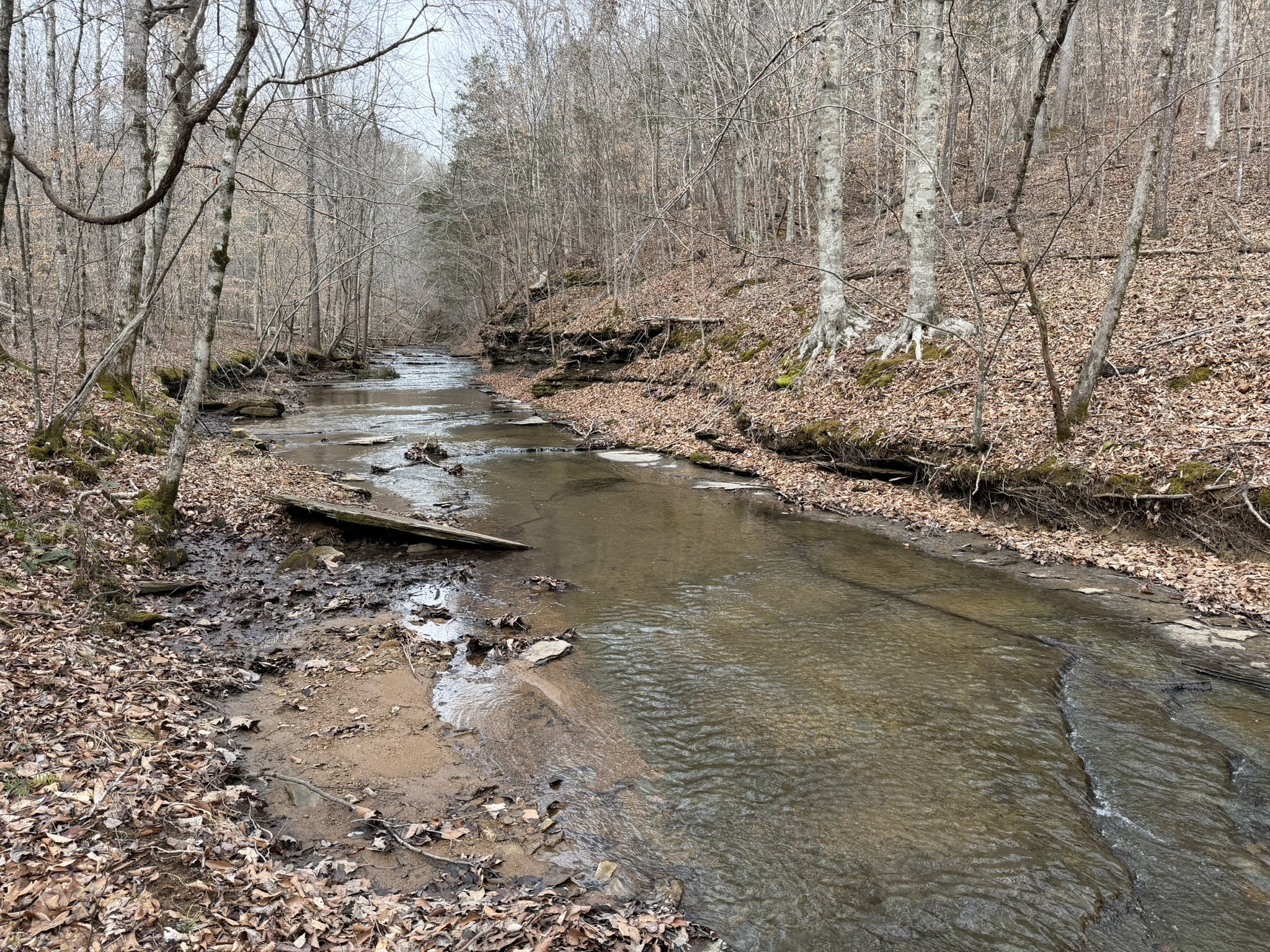 0 Collier Bend Rd, Charlotte, TN 37036