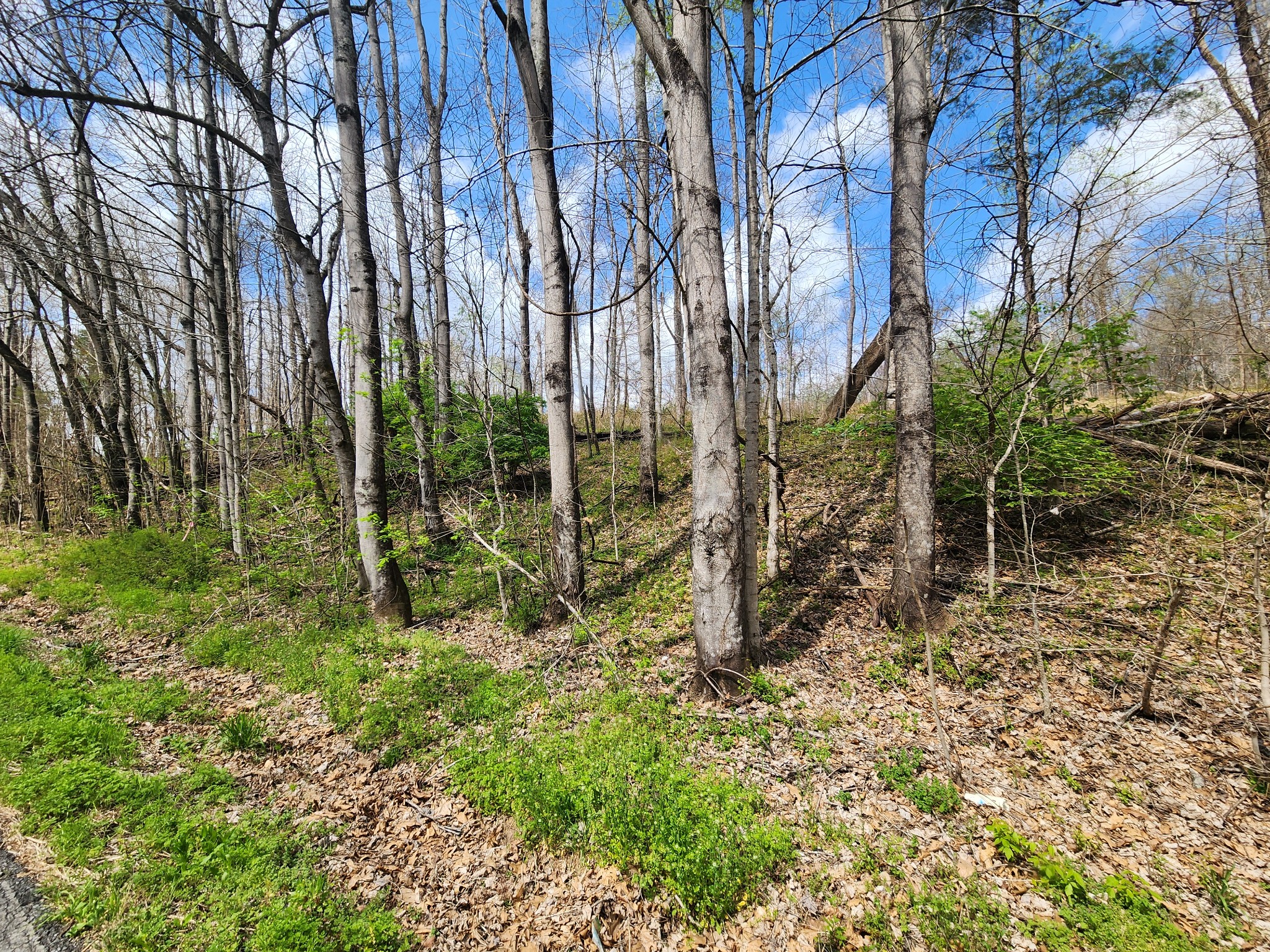 0 Gossett Rd, Ashland City, TN 37015