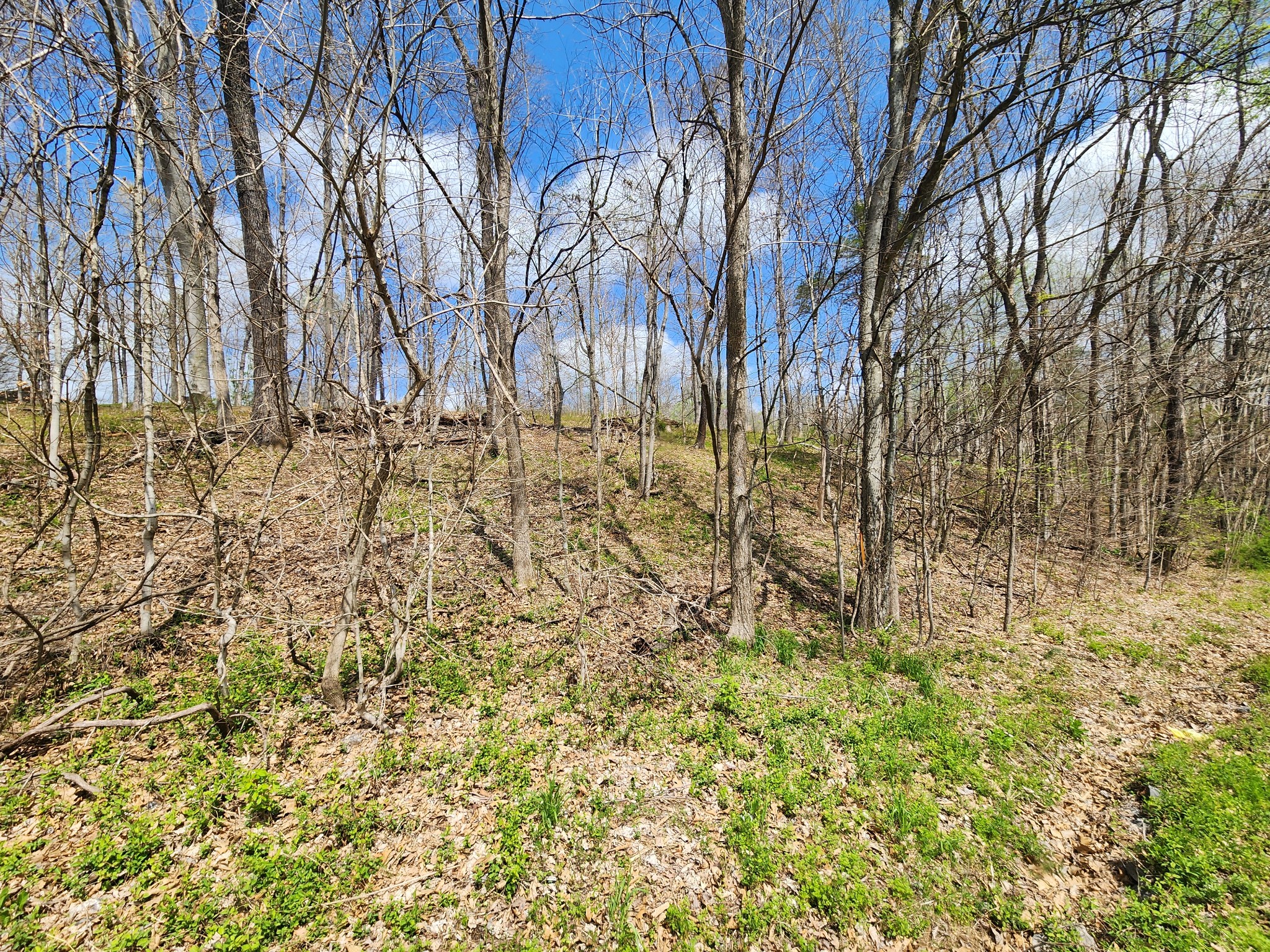 0 Gossett Rd, Ashland City, TN 37015