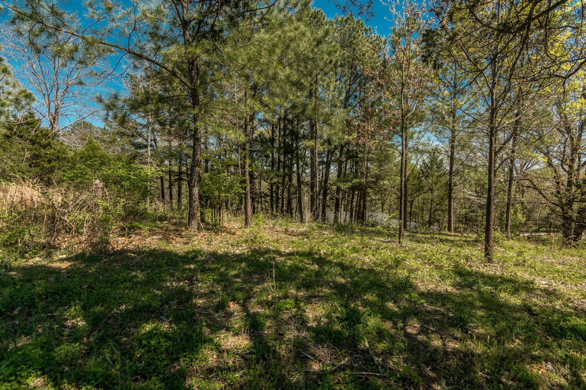 2590 Couchville Pike, Nashville, TN 37217